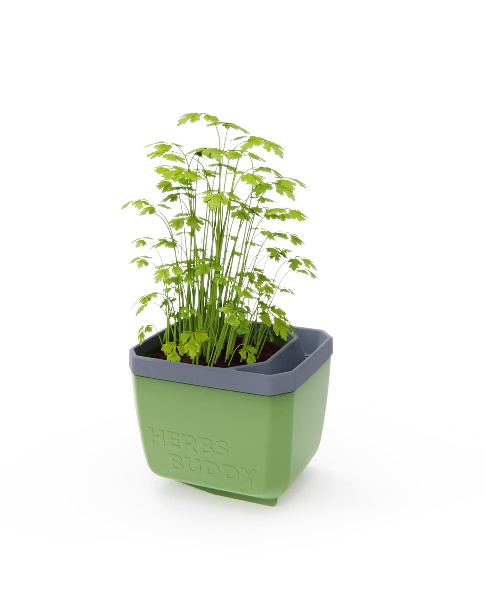 Gusta Garden Kräutertopf GUSTA GARDEN Herbs günstig online kaufen