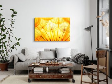 Sinus Art Leinwandbild 120x80cm Wandbild auf Leinwand Makrofotografie Pusteblume Gelb Nahaufn, (1 St)