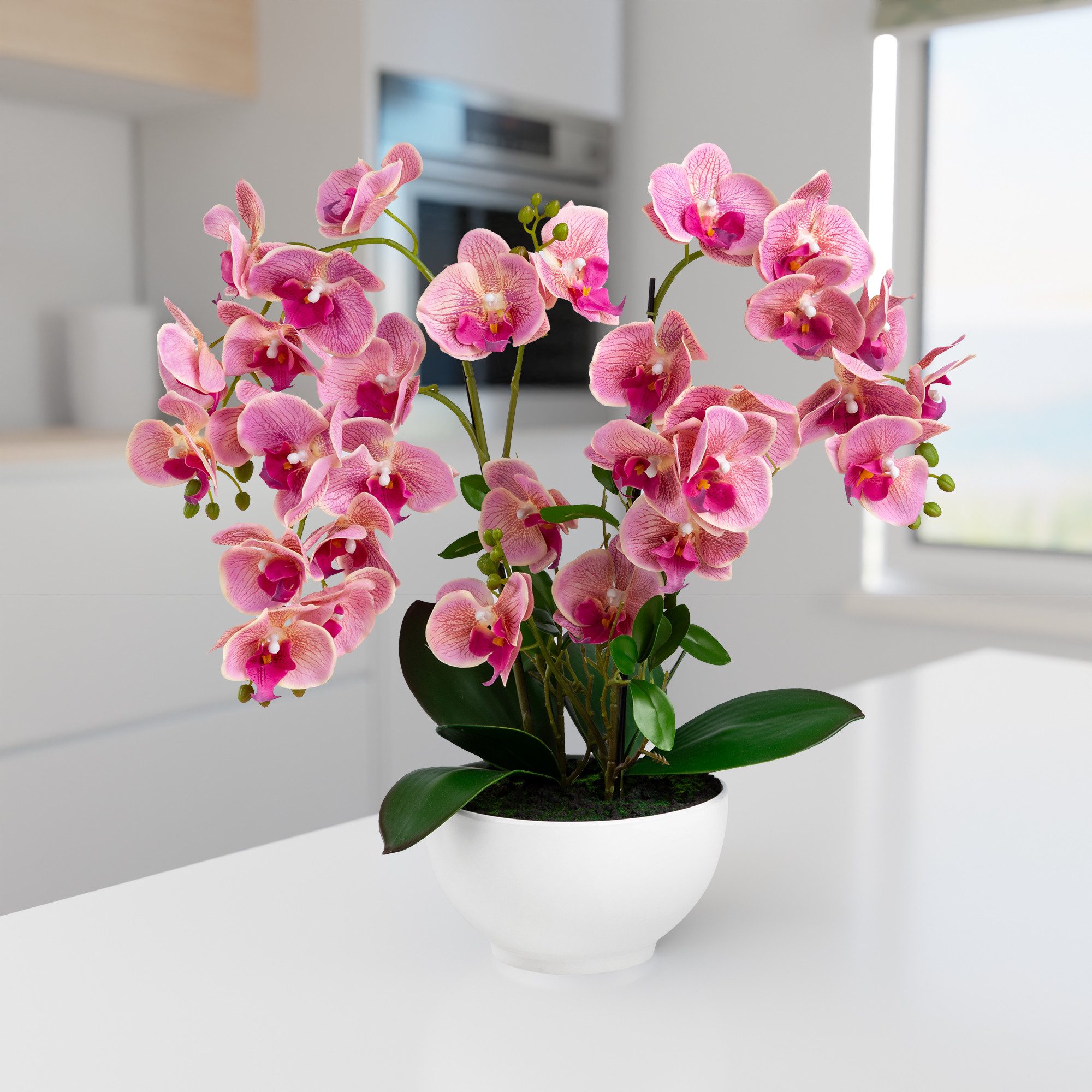 Kunstorchidee PASCH® XXL Orchidee künstlich wie echt (56cm) in Hochglanz-Keramiktopf Orchidee, PASCH