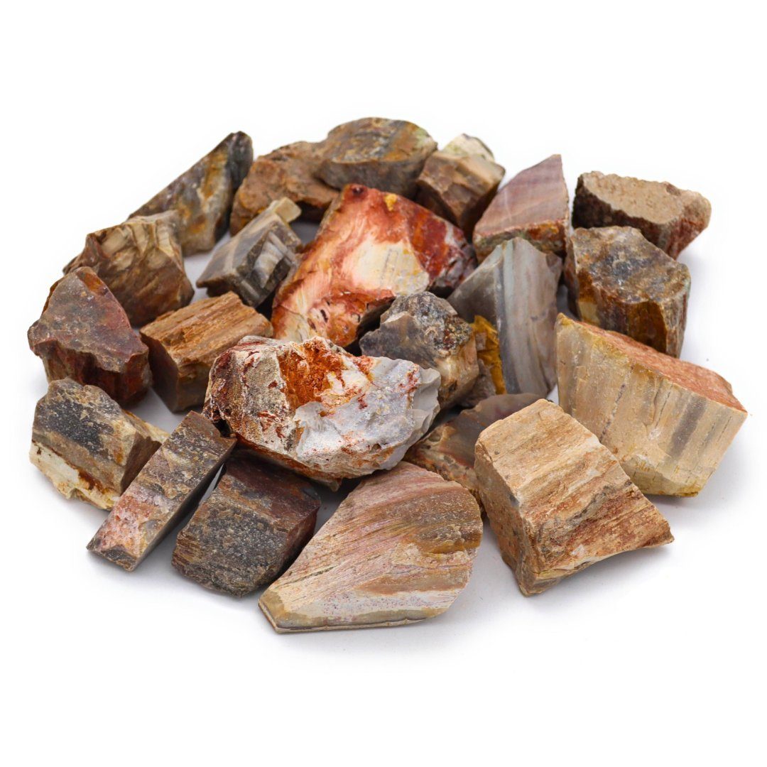 Holz Dekosteine, echte Edelstein Kristalle, versteinertes Edelsteine, Natursteine LAVISA Mineralien