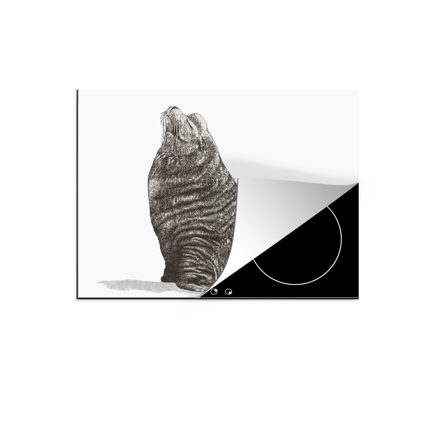 MuchoWow Herdblende-/Abdeckplatte Illustration eines Seelöwen von der Seite, Vinyl, (1 tlg), 70x52 cm, Mobile Arbeitsfläche nutzbar, Ceranfeldabdeckung