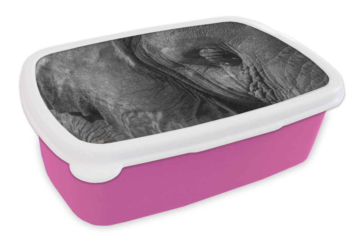 Kunststoff, Snackbox, (2-tlg), MuchoWow Lunchbox - Kinder, rosa Schwarz-Weiß, Mädchen, für - Nahaufnahme Brotdose Kunststoff Tiere - Elefant Erwachsene, Brotbox
