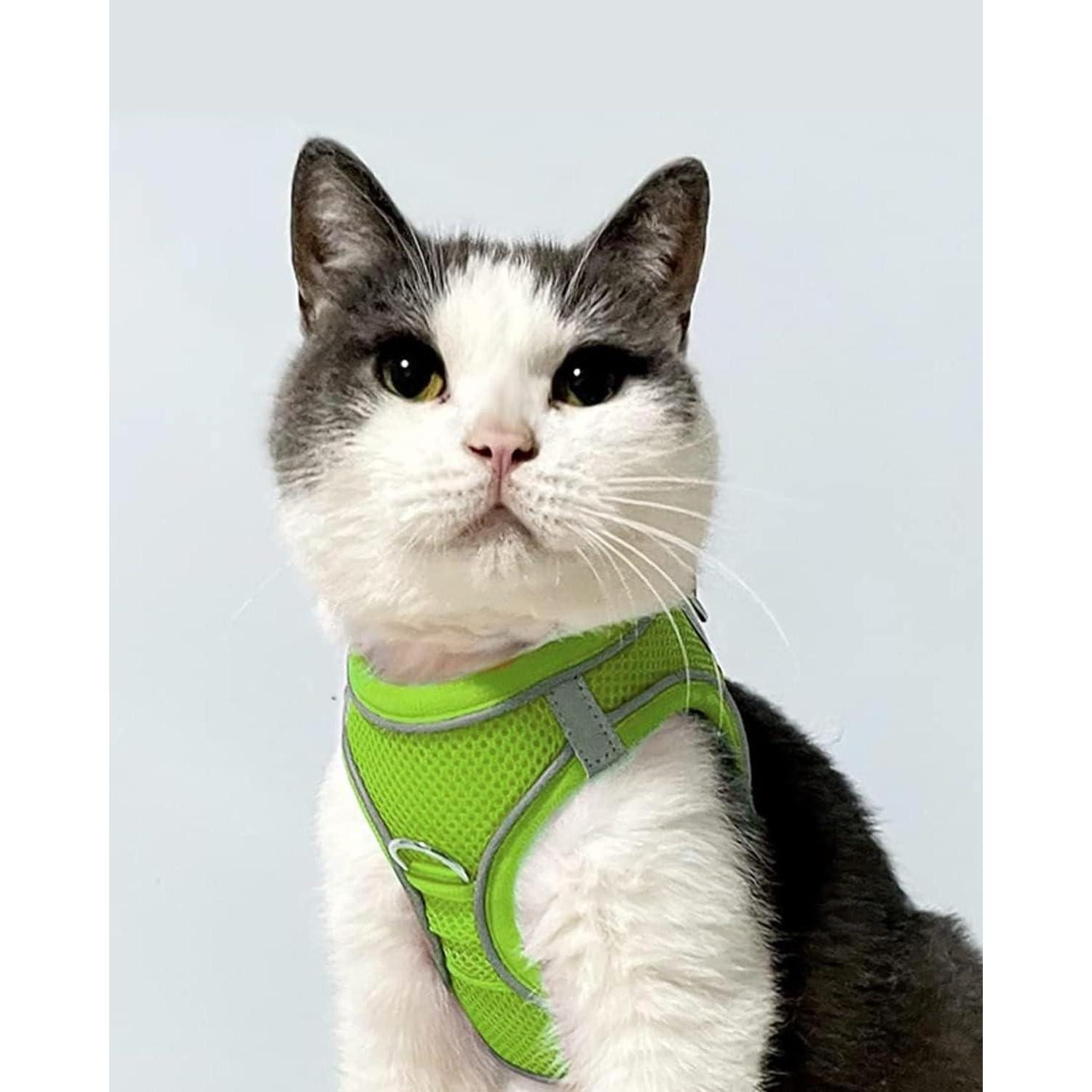 LuxusKollektion Hunde-Geschirr Hundegeschirr Brustgeschirr AirMesh XXS-Brust:31-34cm Grün