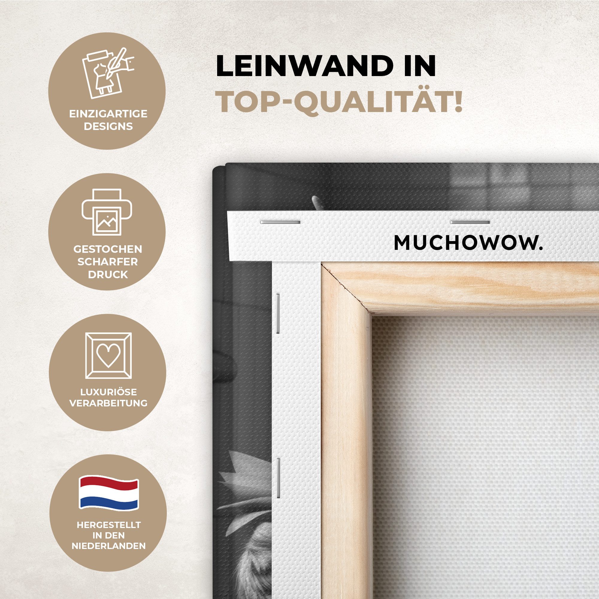 OneMillionCanvasses® Leinwandbild Scottish Highlander - Kuh - Zeitung - WC günstig online kaufen