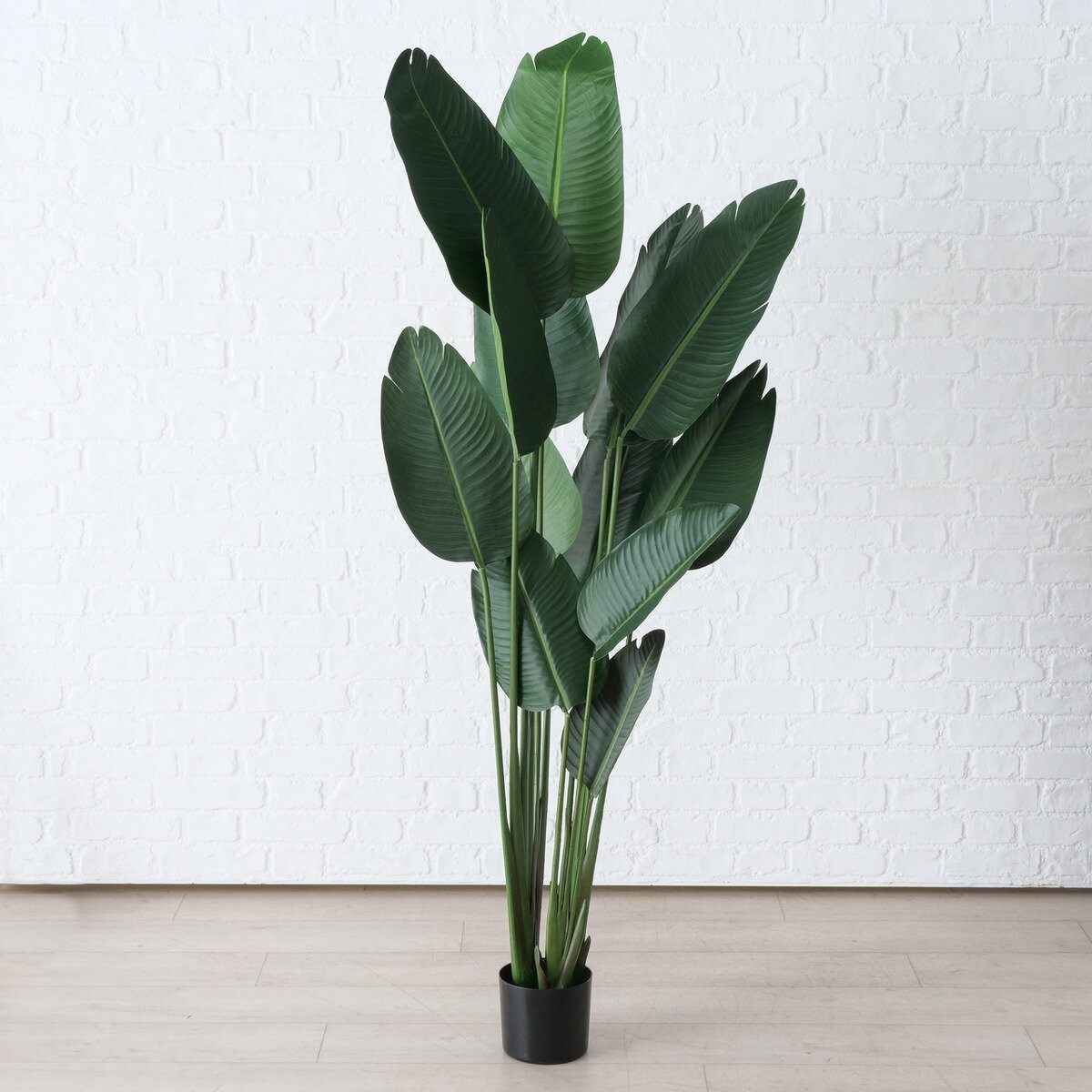 Kunstpflanze Künstliche Bananenpflanze, H. 185 cm Zimmerpflanze, BOLTZE GRUPPE GmbH, Höhe 185 cm