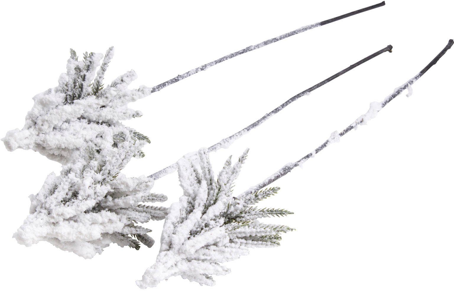 Kunstzweig Tannenbaum auf Stiel Tanne, Botanic-Haus, Höhe 50 cm günstig online kaufen