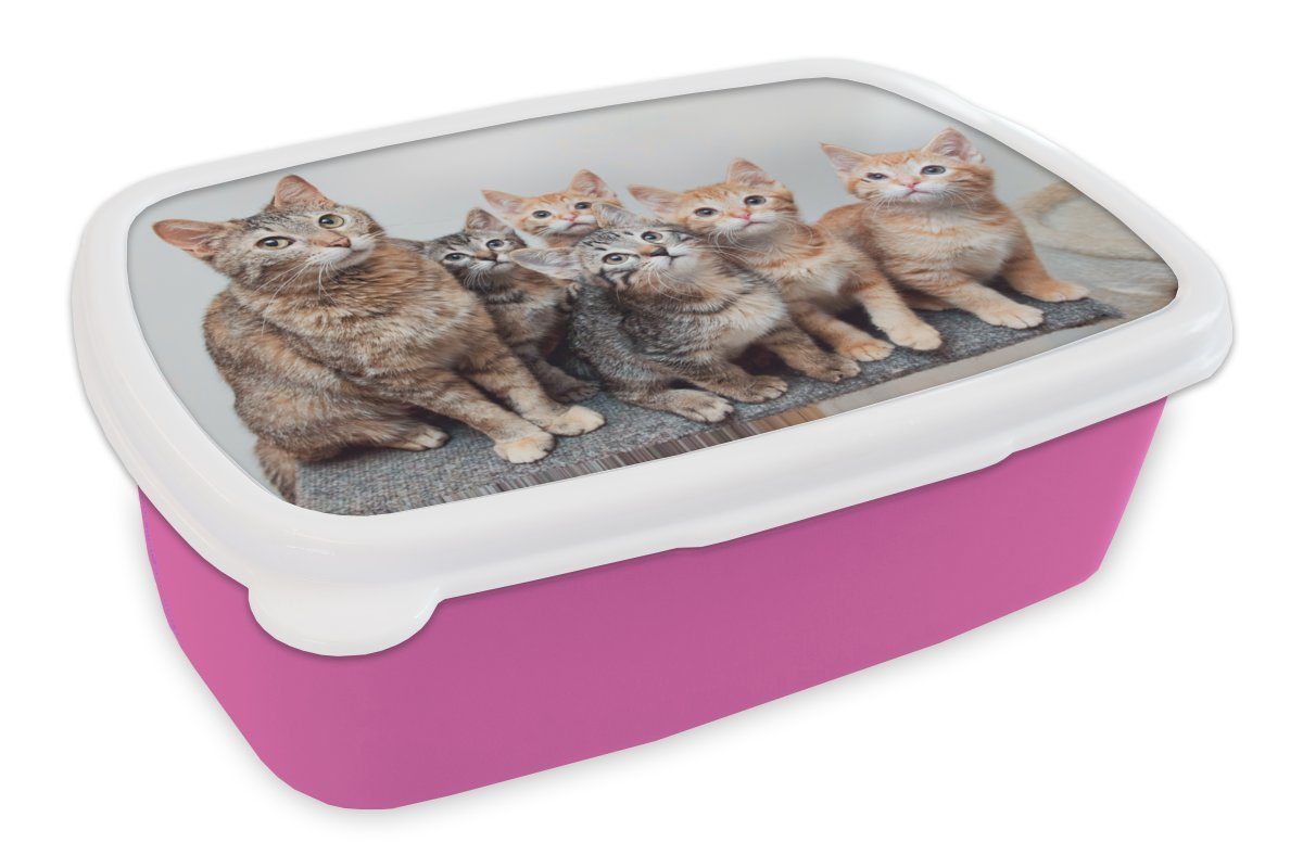 MuchoWow Lunchbox Katze - Kätzchen - Fell, Kunststoff, (2-tlg), Brotbox für Erwachsene, Brotdose Kinder, Snackbox, Mädchen, Kunststoff rosa
