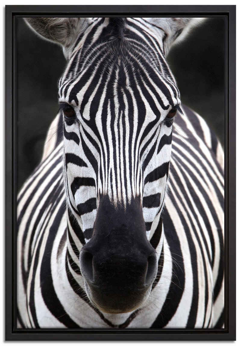 Pixxprint Leinwandbild Zebra Porträt, Wanddekoration (1 St), Leinwandbild fertig bespannt, in einem Schattenfugen-Bilderrahmen gefasst, inkl. Zackenaufhänger