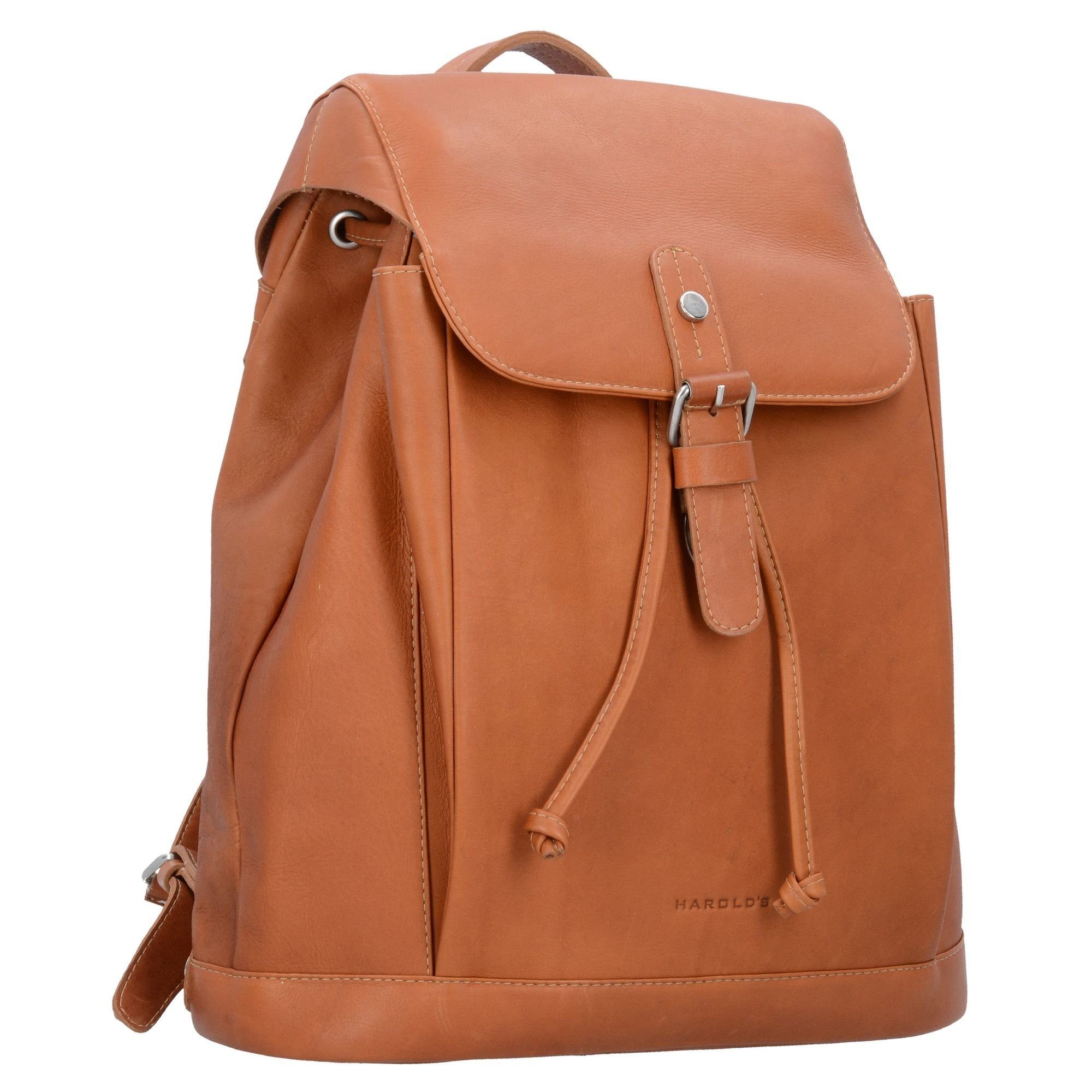 Harold's Rucksack Campo, Leder