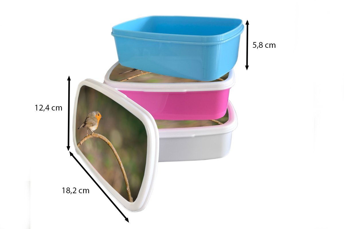 Brotbox Snackbox, - Kinder, Lunchbox Natur, Vogel Mädchen, Brotdose Kunststoff (2-tlg), Kunststoff, Erwachsene, MuchoWow für rosa - Rotkehlchen