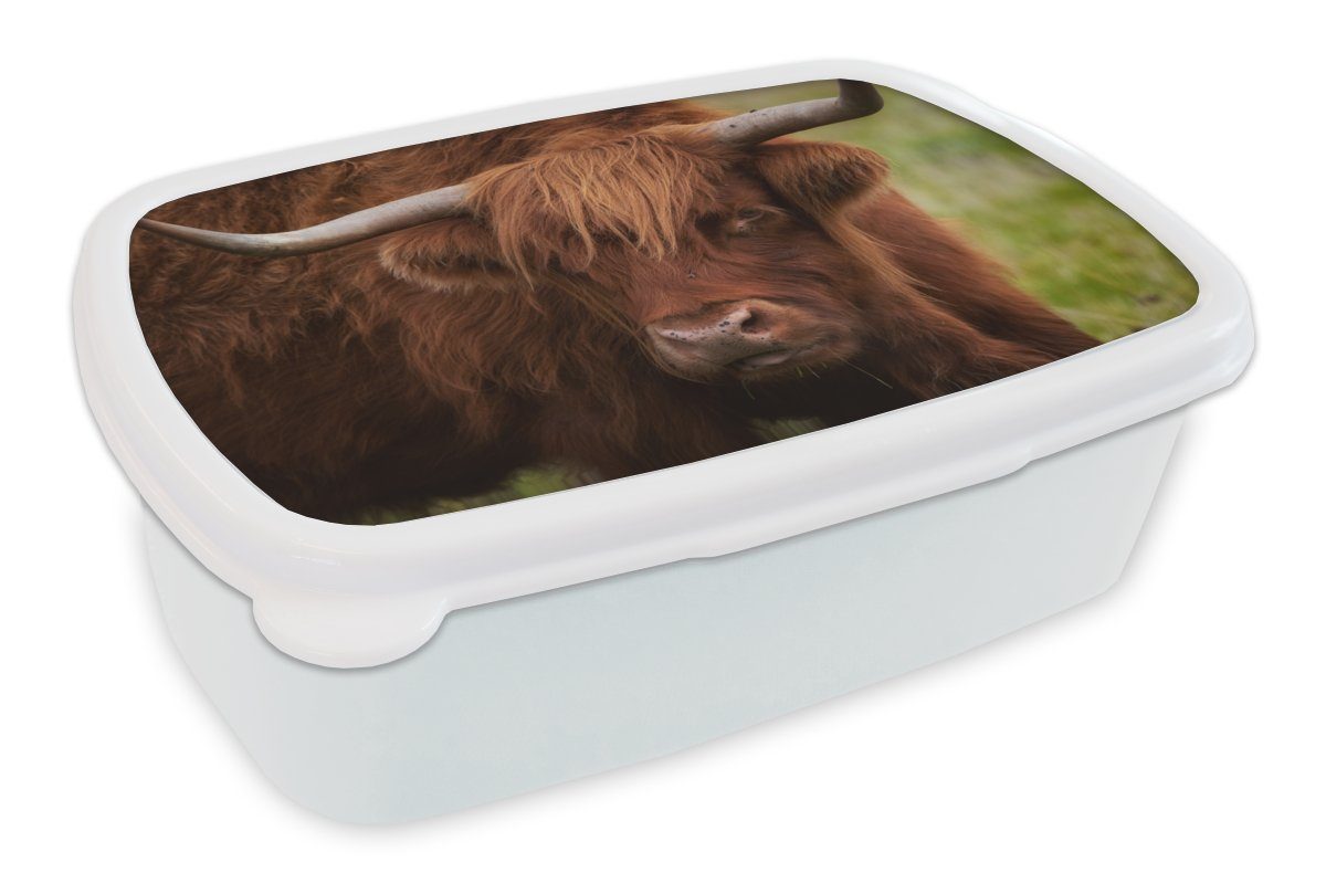 MuchoWow Lunchbox Schottischer Highlander - Kinder und für Orange Tiere, für weiß Jungs Brotbox (2-tlg), und - Brotdose, Kunststoff, Erwachsene, Mädchen