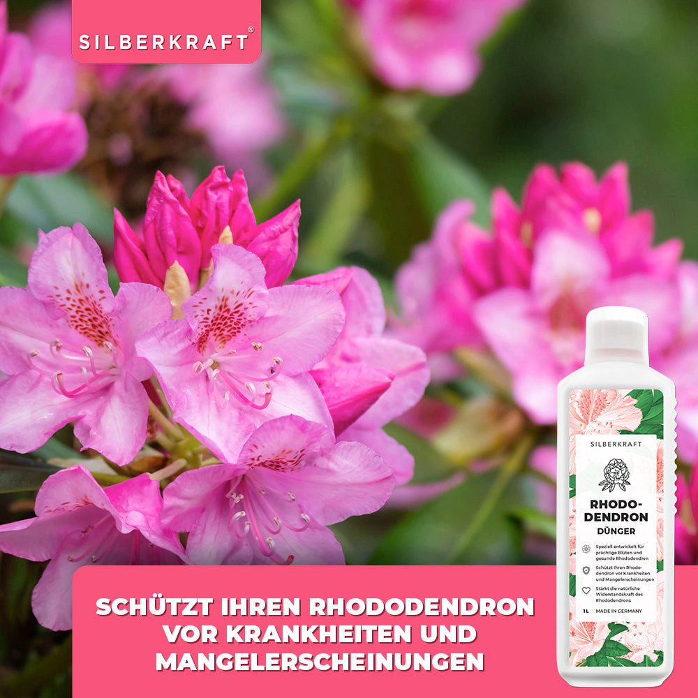 Silberkraft Pflanzenstärkungsmittel Rhododendron Dünger - Mineralischer NPK Flüssigdünger mit Stickstoff, 1 L, Spezialdünger für Rhododendren, Azaleen, Hortensien & Kamelien, Für kräftige Wurzeln, sattes Blattgrün & reiche Blütenbildung