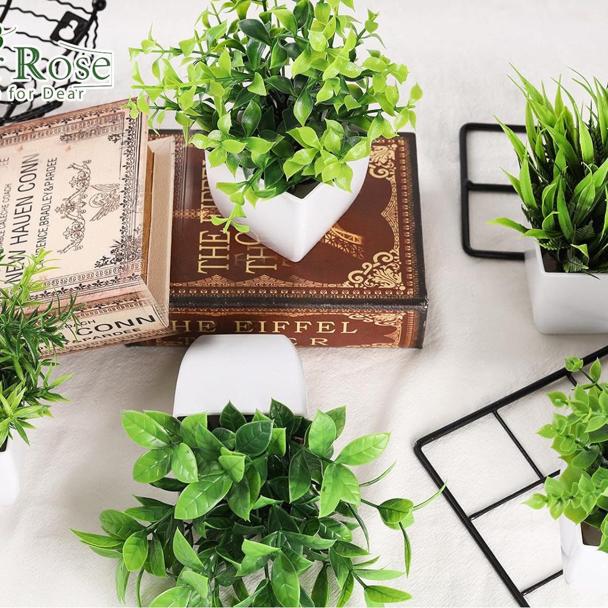 Kunstpflanze 4 künstliche Pflanzen mit Topf, kleine künstliche Pflanzen-Dekoration, Coonoor, geeignet für Wohnzimmer- und Bürodekoration – Bild 5 von 5