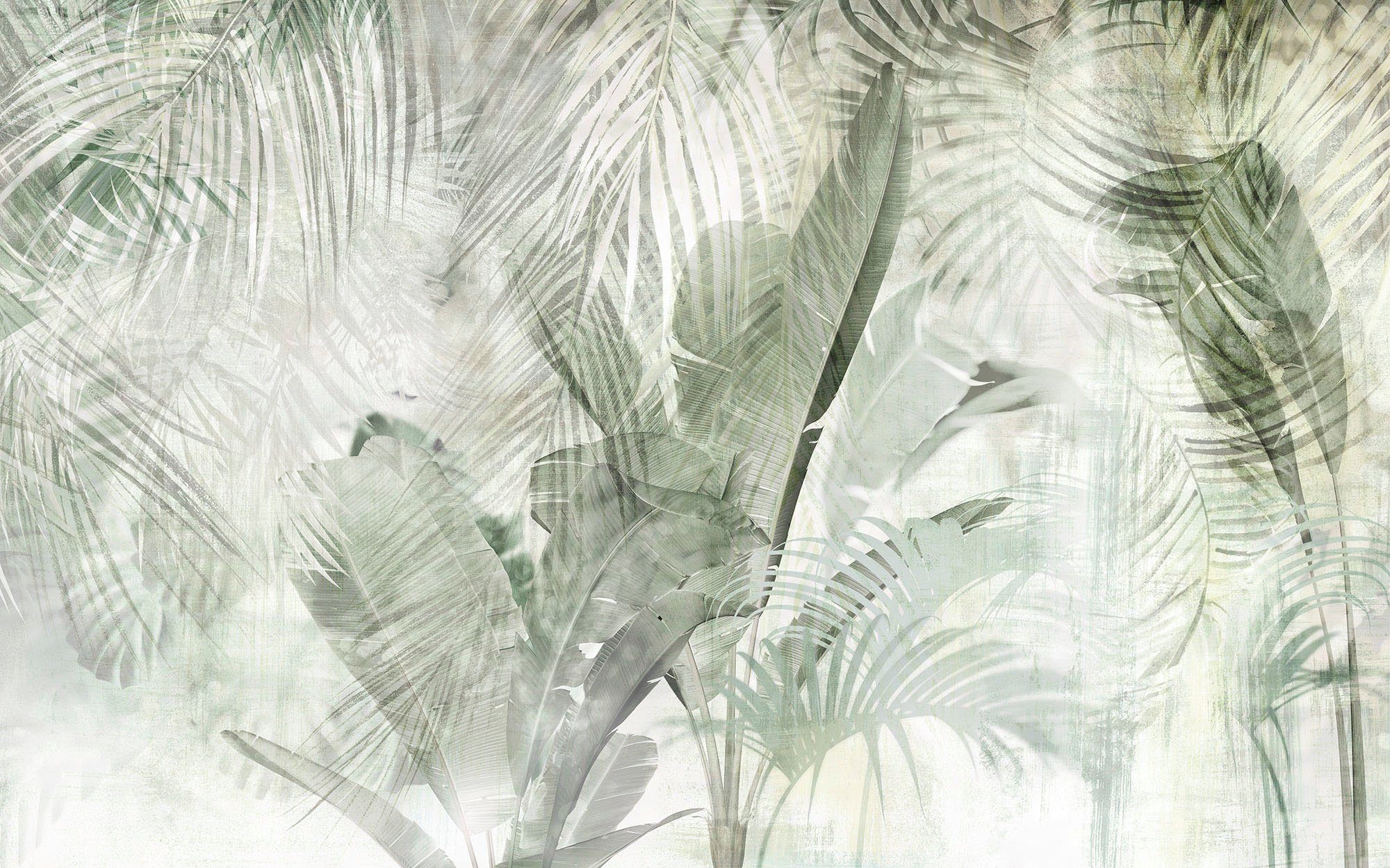 Komar Vliestapete Digitaldruck Vlies - Botanical Boho - Größe 400 x 250 cm, glatt, bedruckt, (1 St), Wohnzimmer, Schlafzimmer