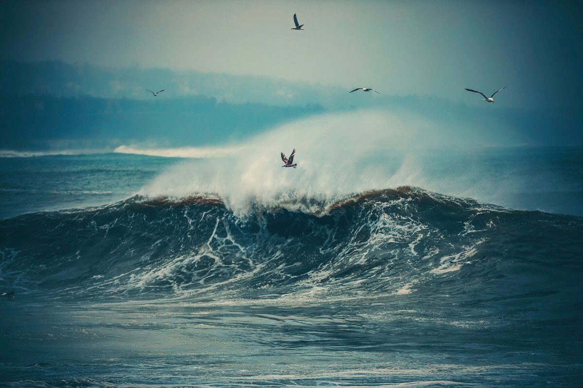 Papermoon Fototapete Wellen mit Vögeln