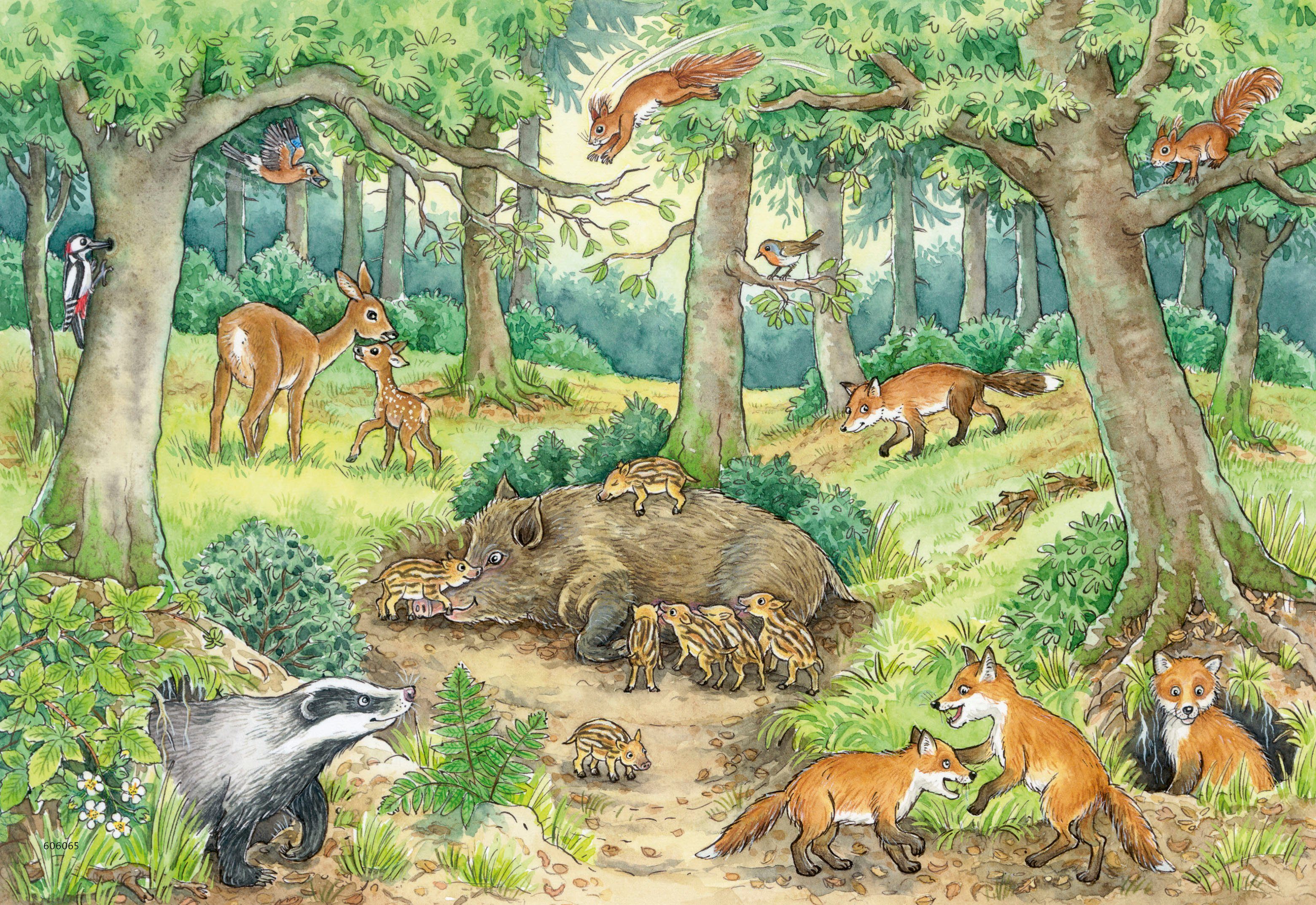 Ravensburger Puzzle Wieso? Weshalb? Warum? Junior, Tiere im Wald und auf de günstig online kaufen