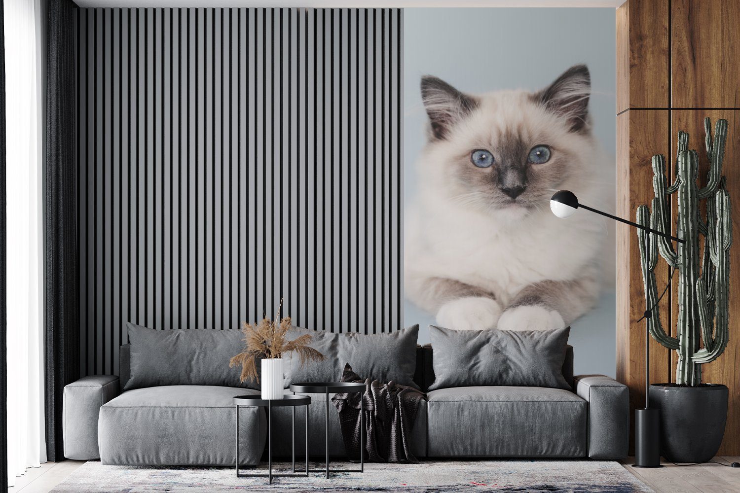 - Kinder MuchoWow Katze Jungen - - Ragdoll - Matt, Kind, Vliestapete Küche, Schlafzimmer Blau Fototapete Wohnzimmer für Mädchen - (2 Fototapete bedruckt, - St), Katze