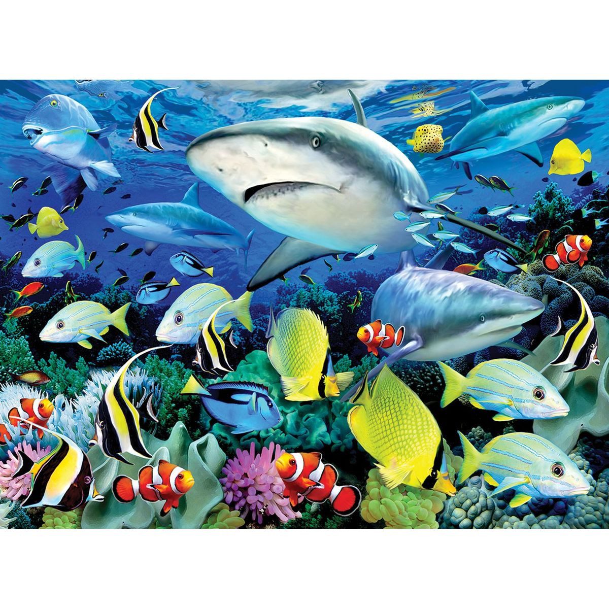 Pracht Malen nach Zahlen PRACHT Malen nach Zahlen Junior Fische 40x32,5cm