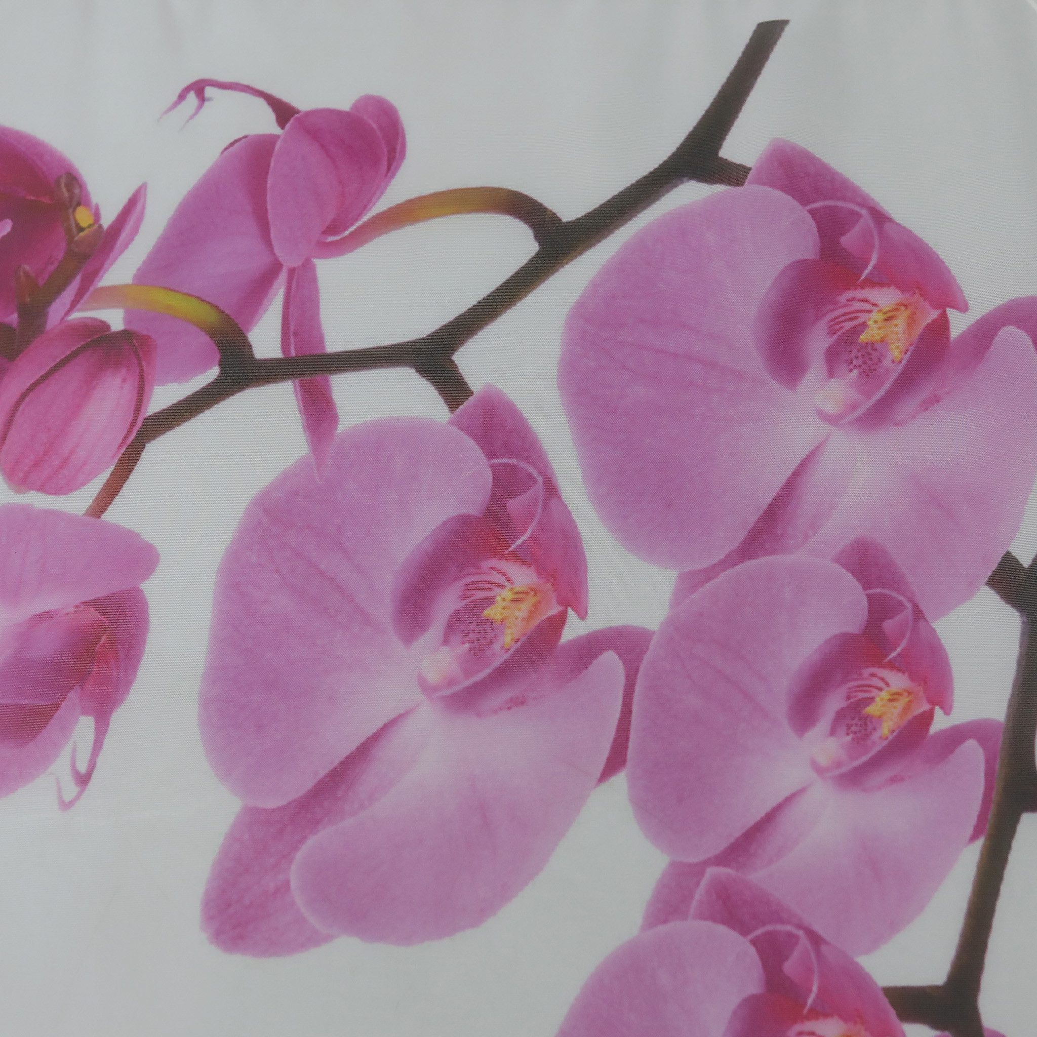 Joyswahl Raffrollo Zoe, mit Hakenaufhängung, ohne Bohren Voile Raffgardinen günstig online kaufen