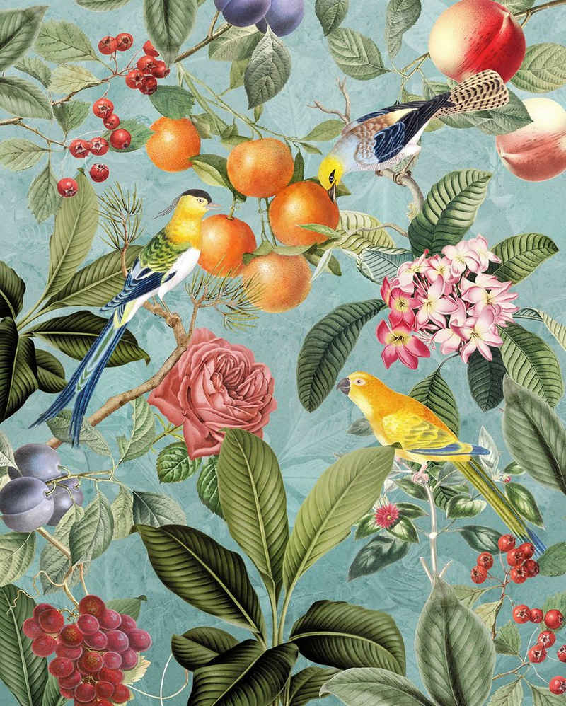 Komar Fototapete Birds and Berries, glatt, Motiv, botanisch, tropisch, (Packung, 1 St), bedruckt, botanisch, floral, Vlies, Wand, Decke, Schräge