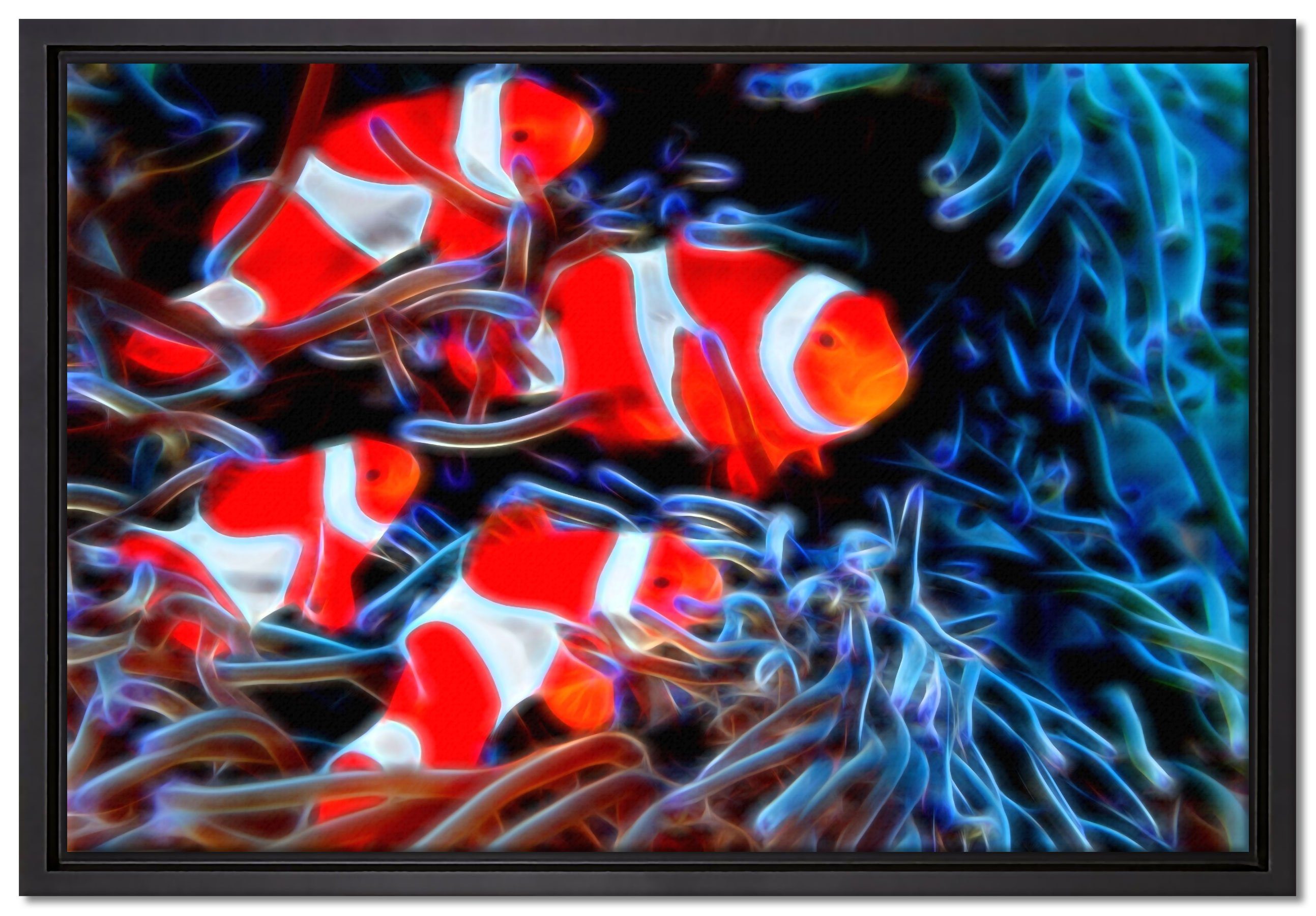 Pixxprint Leinwandbild Clown Fische in Anemone, Wanddekoration (1 St), Leinwandbild fertig bespannt, in einem Schattenfugen-Bilderrahmen gefasst, inkl. Zackenaufhänger