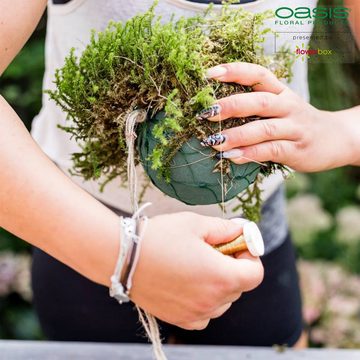 Oasis Schaumgummi 2er Pack OASIS® IDEAL Kugel im Netz, grün - Durchmesser 16 cm