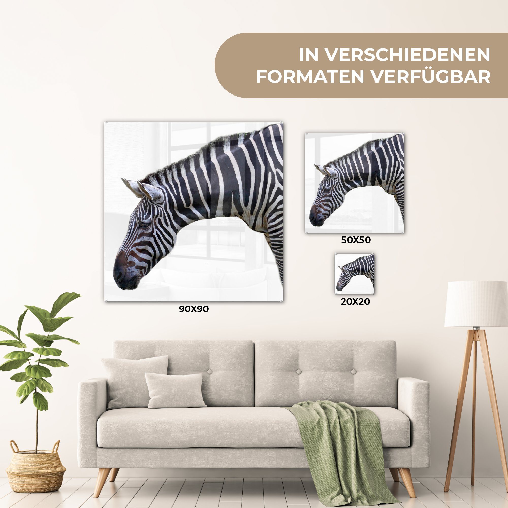 eines auf MuchoWow Wandbild und St), - (1 Acrylglasbild Bilder Foto Glas auf Hals Wanddekoration weißem Hintergrund, - Glasbilder Zebras Glas Kopf auf -