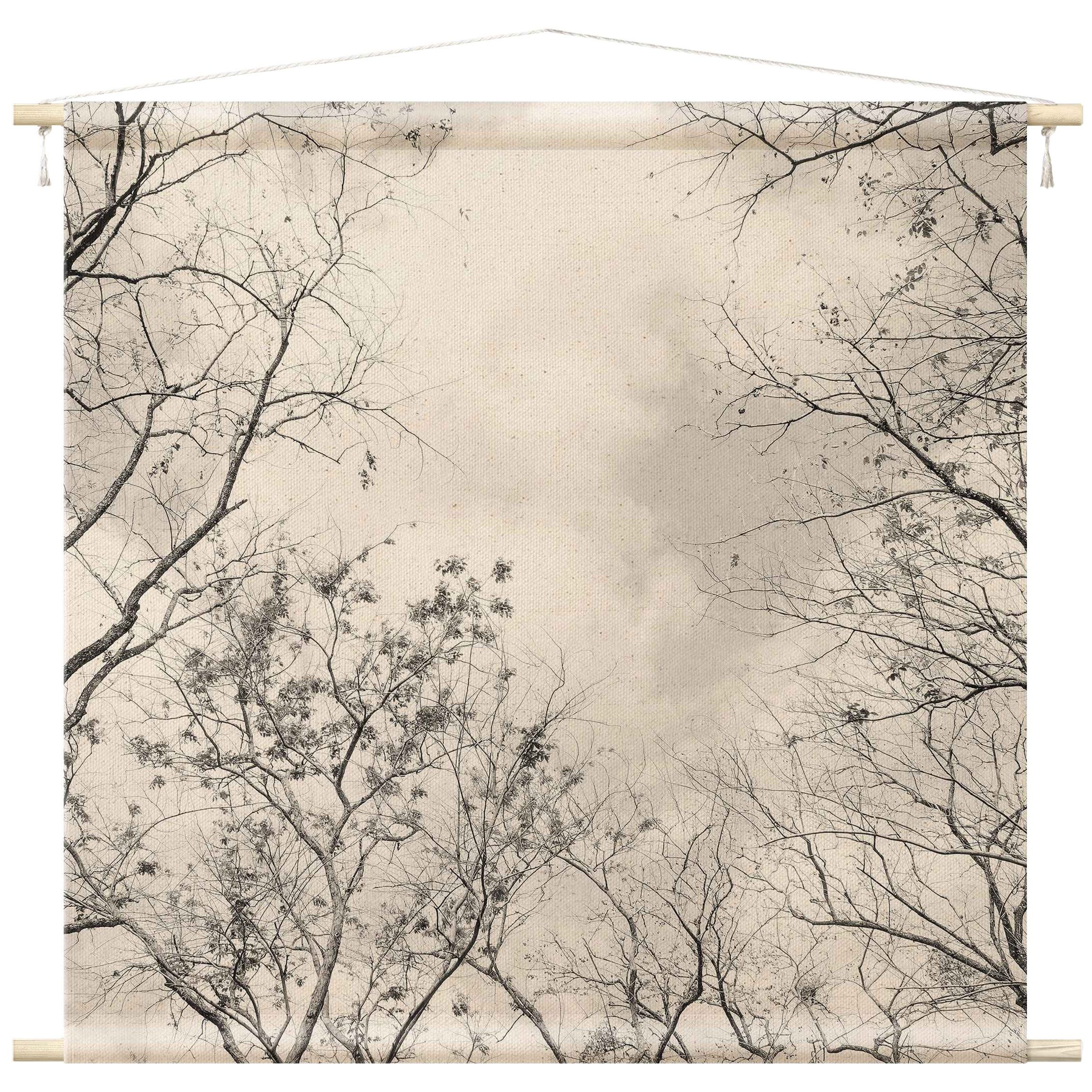 Bilderdepot24 Wandteppich modern Wald Gräser Natur grau, quadratisch, Höhe: 2.6 mm, großes Wandbild aus Natur-Baumwolle Wandbehang Stoffbild Tuch Wollseil