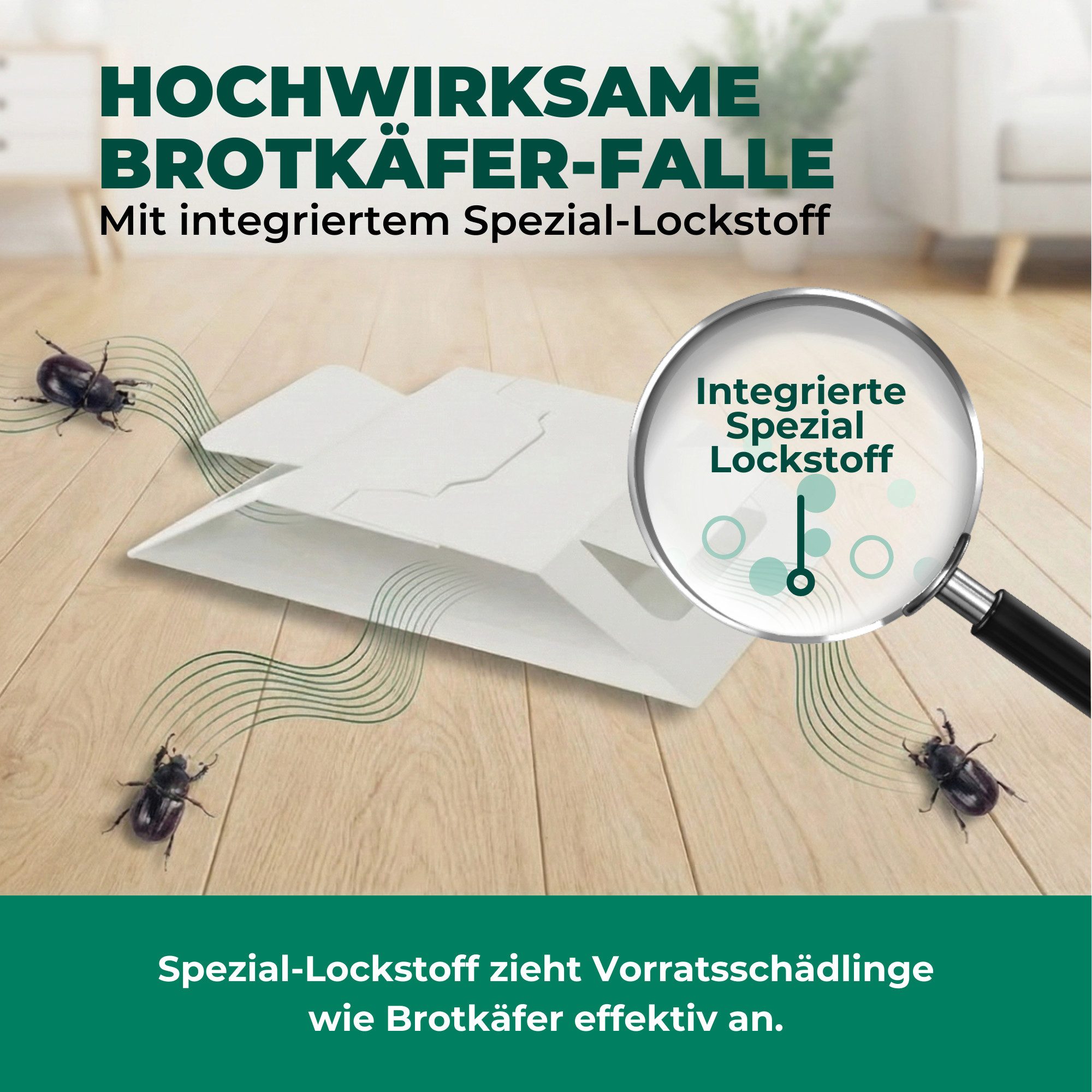 Silberkraft Insektenfalle Brotkäferfalle – Universal-Klebefalle mit Lockstoff, Extrastarke Klebefläche, einfache Anwendung – Bild 4 von 5