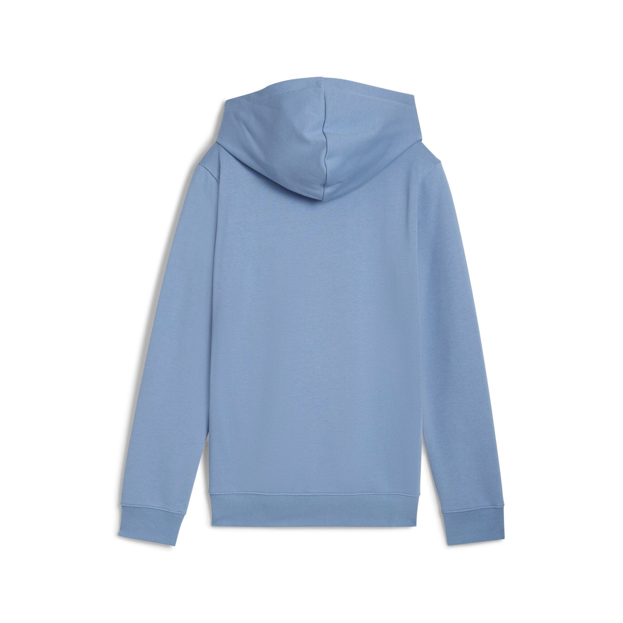 PUMA Kapuzensweatshirt ESS NATURE 2.0 HOODIE günstig online kaufen