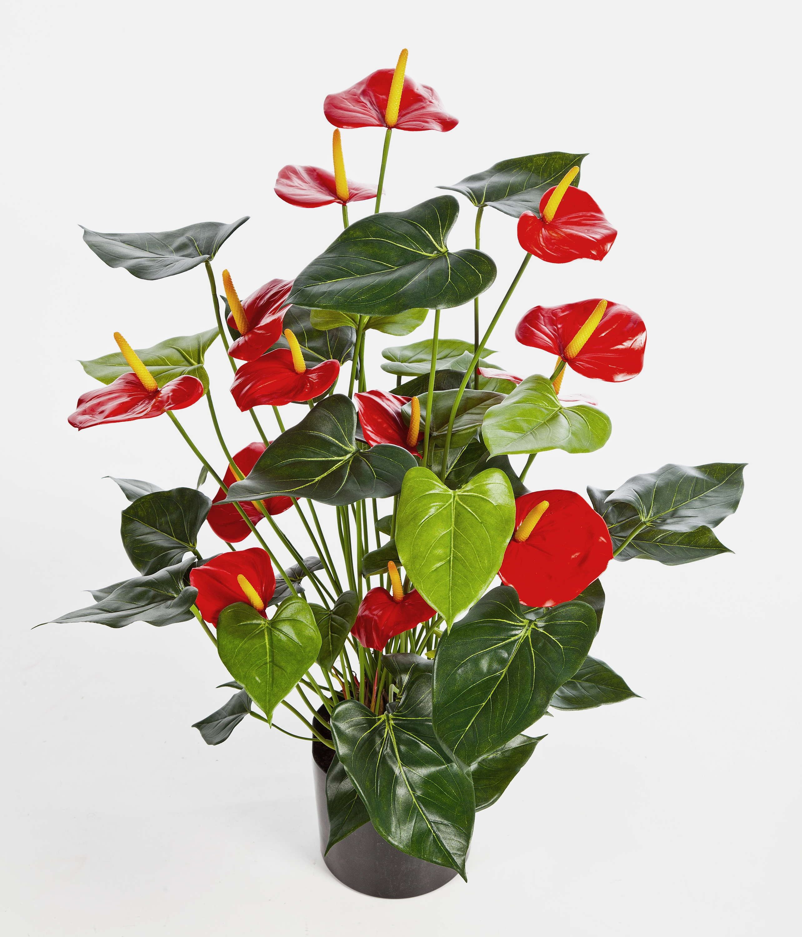 Kunstblume Kunstpflanze Anthurium Busch Levana, 13 Blüten, rot, Deluxe, 80cm Flamingoblume, artplants, Höhe 80.0 cm