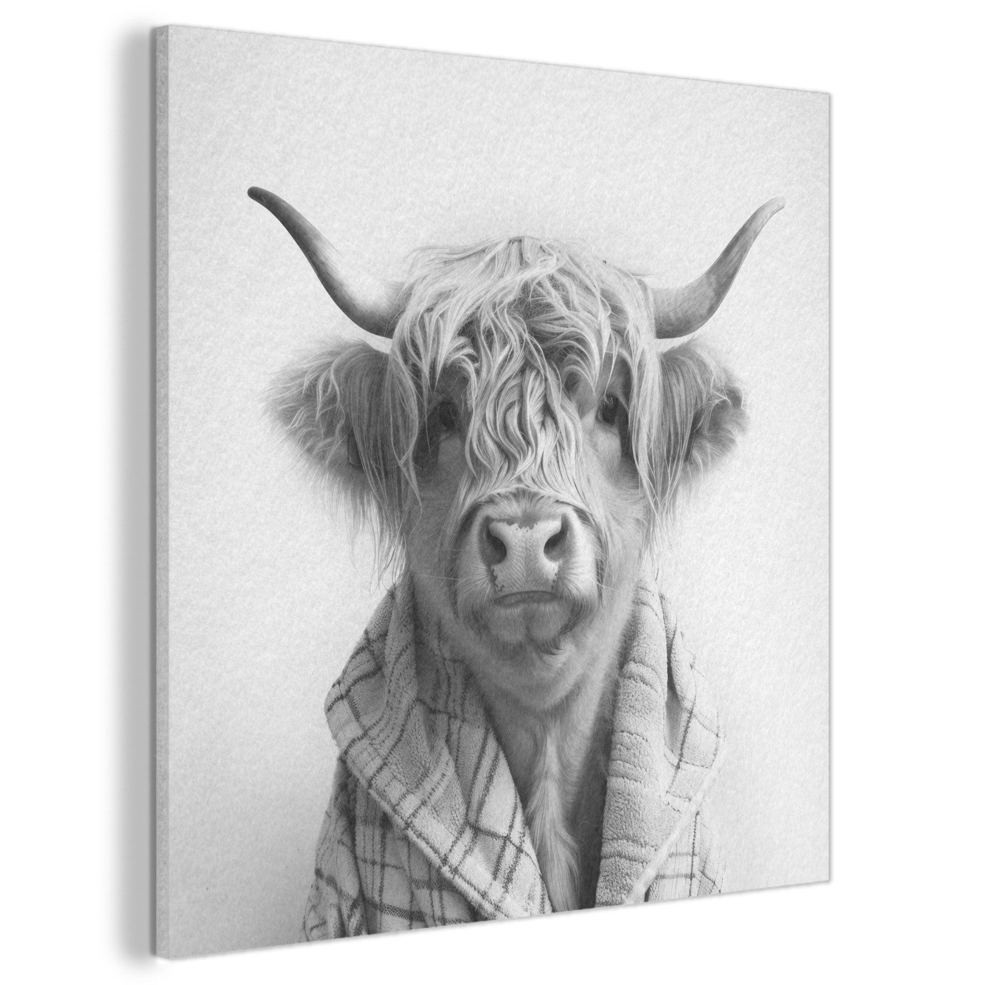 MuchoWow Gemälde Scottish Highlander - Kuh - Bademantel - Schwarz und Weiß, Fotodruck (1 St), Akustikpaneele, Wandpaneele, Schalldämmung, Akustikbilder 60x60 cm