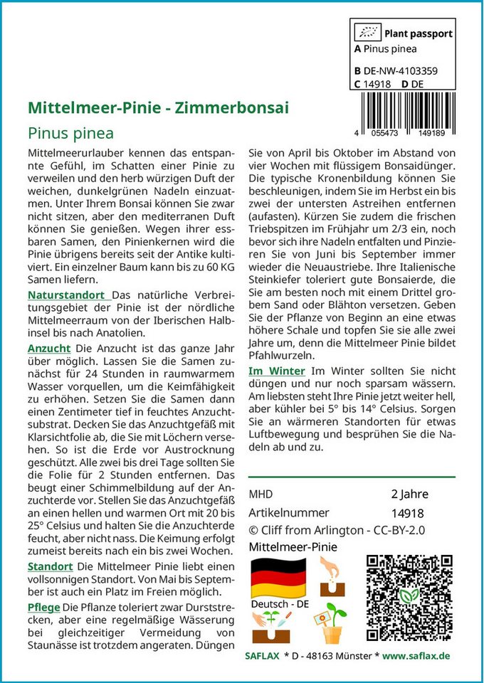 Thumbnail - SAFLAX Blumensamen SAFLAX - Samen - Mittelmeer-Pinie