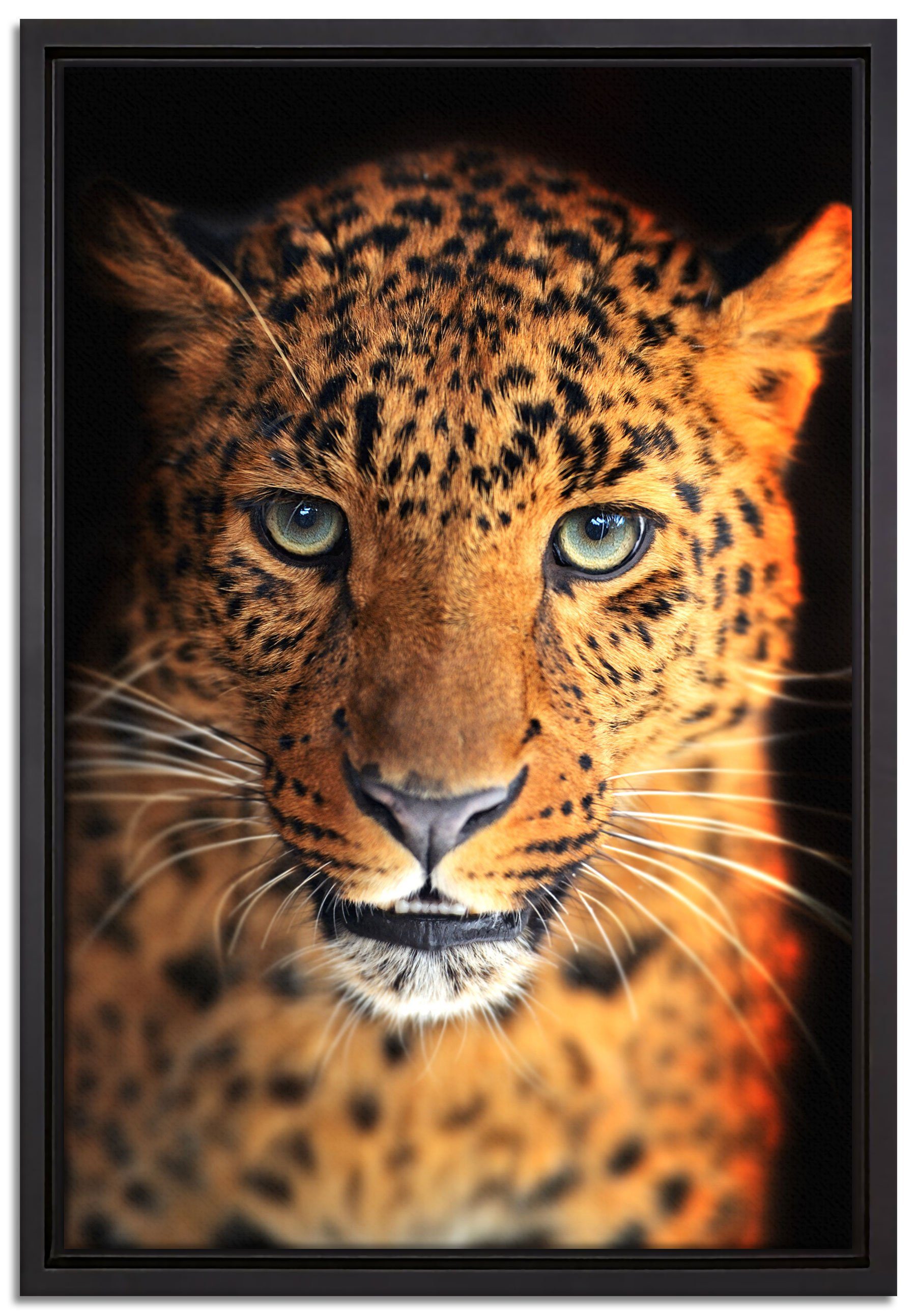 Pixxprint Leinwandbild Stolzer Leopard, Wanddekoration (1 St), Leinwandbild fertig bespannt, in einem Schattenfugen-Bilderrahmen gefasst, inkl. Zackenaufhänger