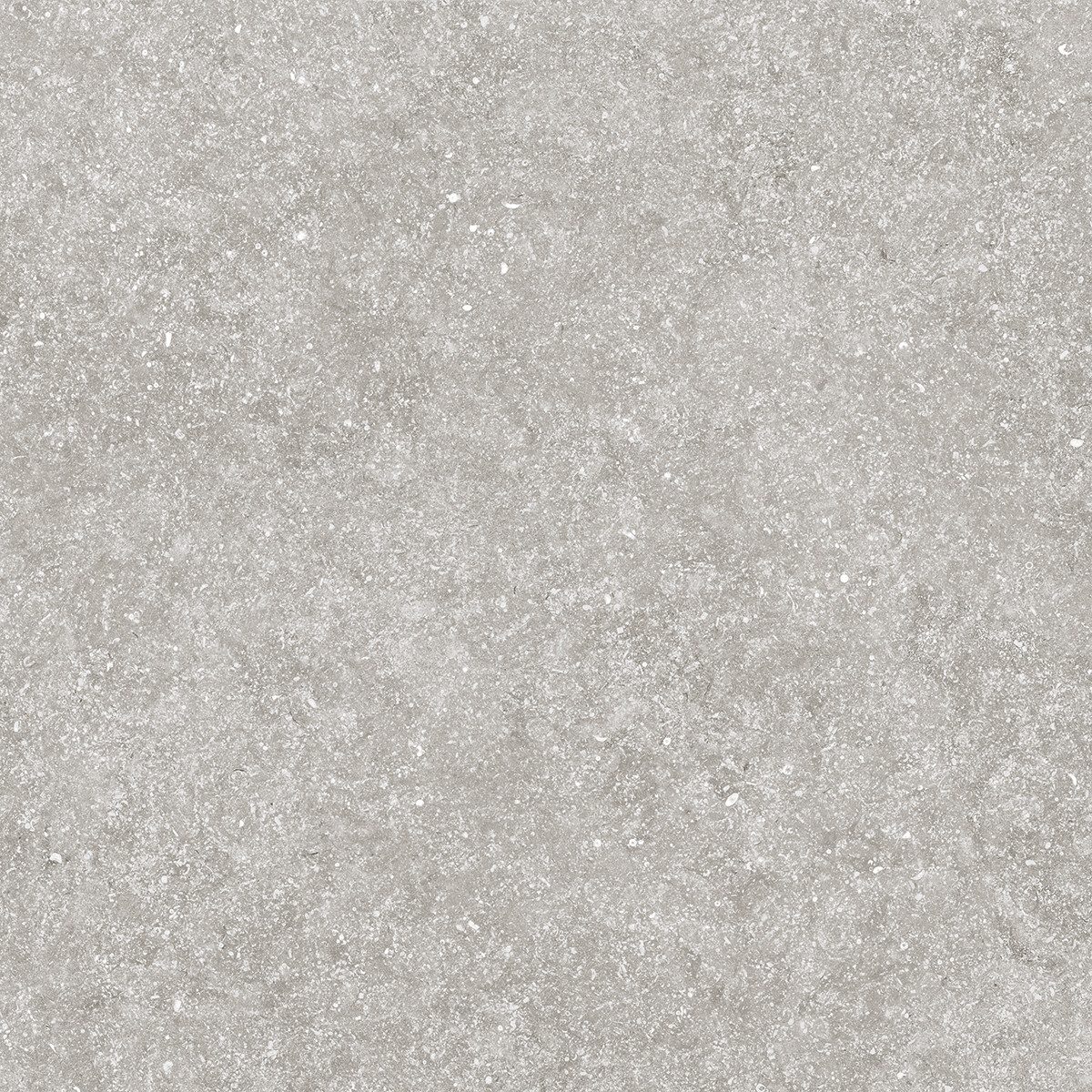 Bodenfliese 1 Paket (0,72 m) Terrassenplatten BREMEN GREY (60 × 60 cm), matt, Feinsteinzeug, grau, R11, Feinsteinzeug, Balkone Dachterrasse Außenraum