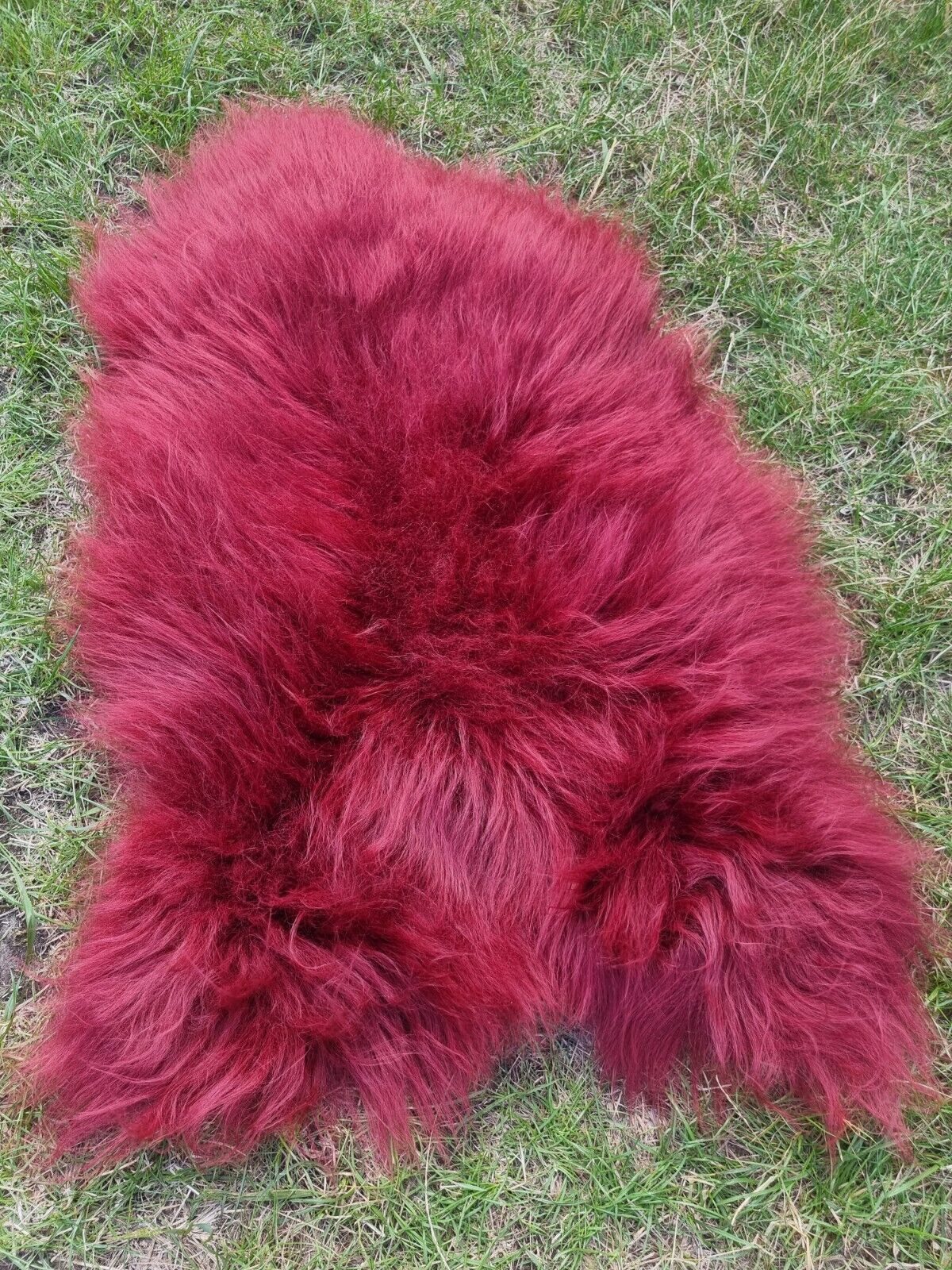 Provellus Fellteppich Premium Island Lammfell Schaffell Bunt Gefärbt Weich günstig online kaufen