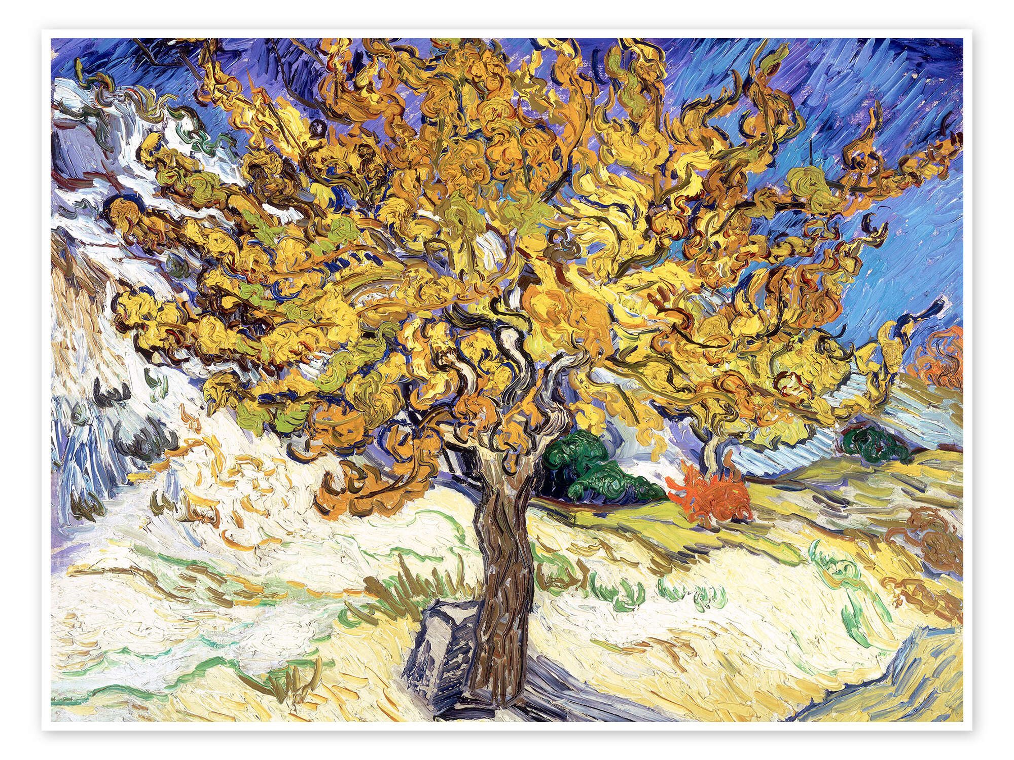 Poster Vincent van Gogh