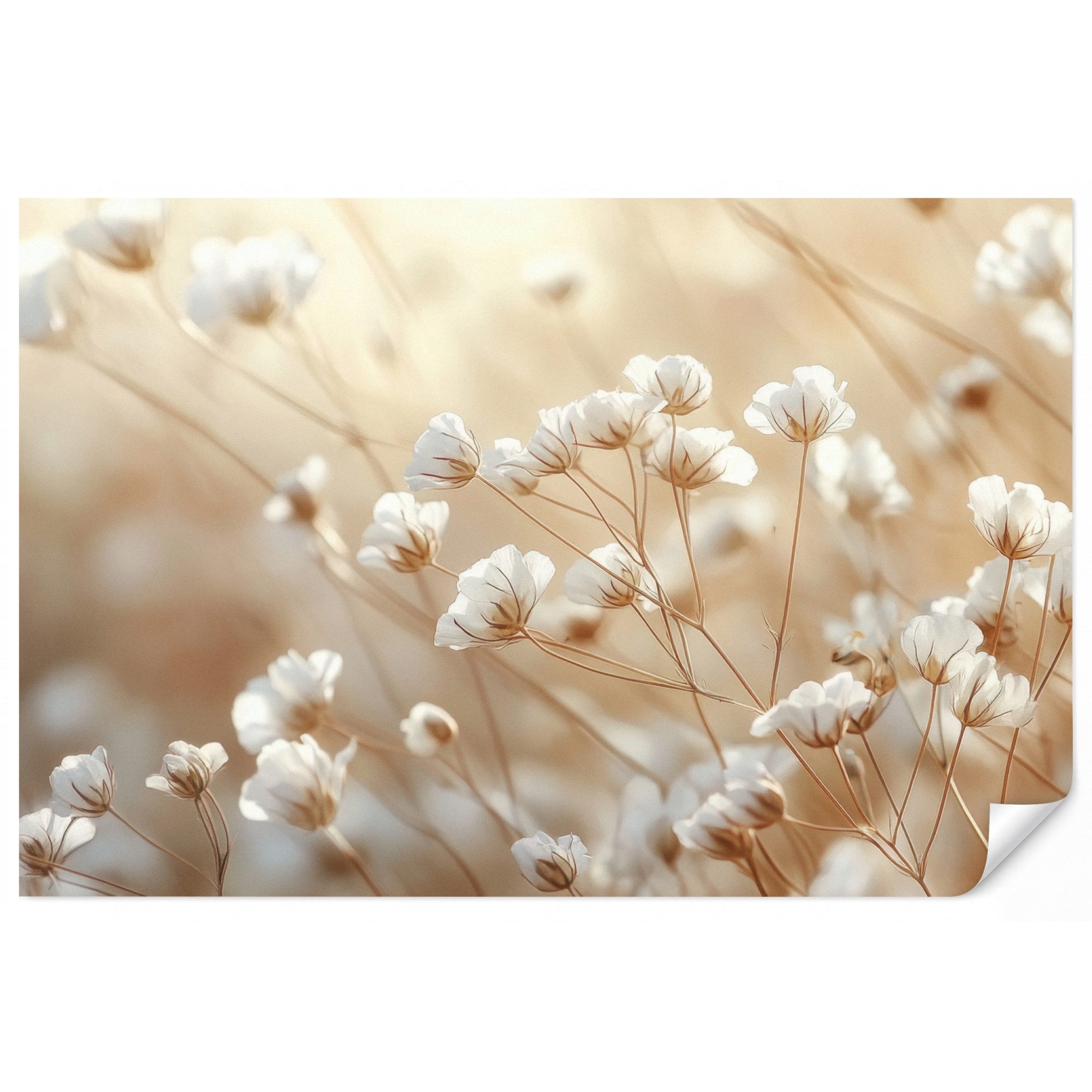 OnlyWow Fototapete Wild - Blumen - Weiß, Matt, bedruckt, Wohnzimmer, Modern, Wanddekoration, Vliestapete 100x70cm