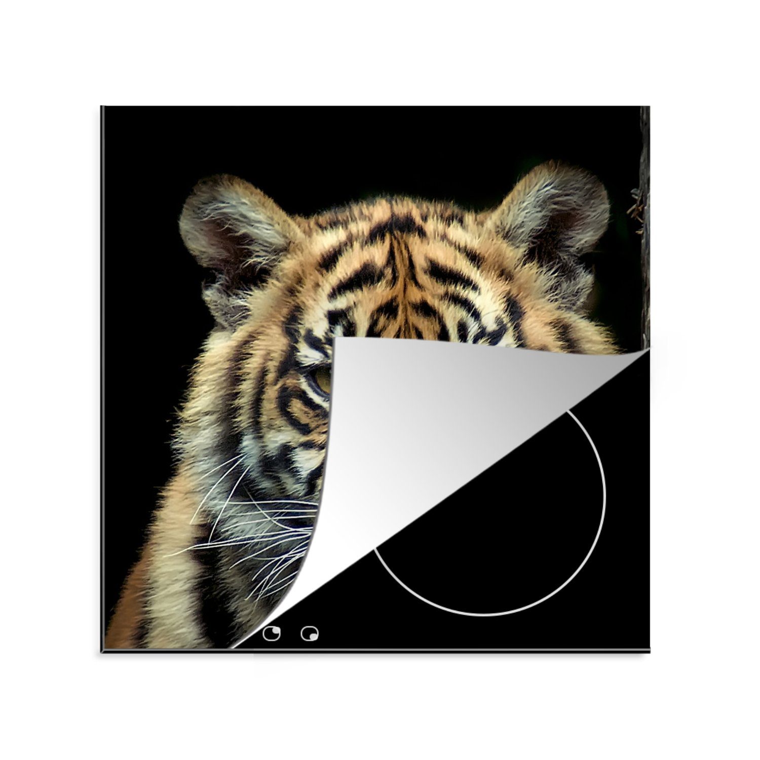MuchoWow Herdblende-/Abdeckplatte Porträt Sumatra-Tigerjunges vor dunklem Hintergrund, Vinyl, (1 tlg), 78x78 cm, Ceranfeldabdeckung, Arbeitsplatte für küche