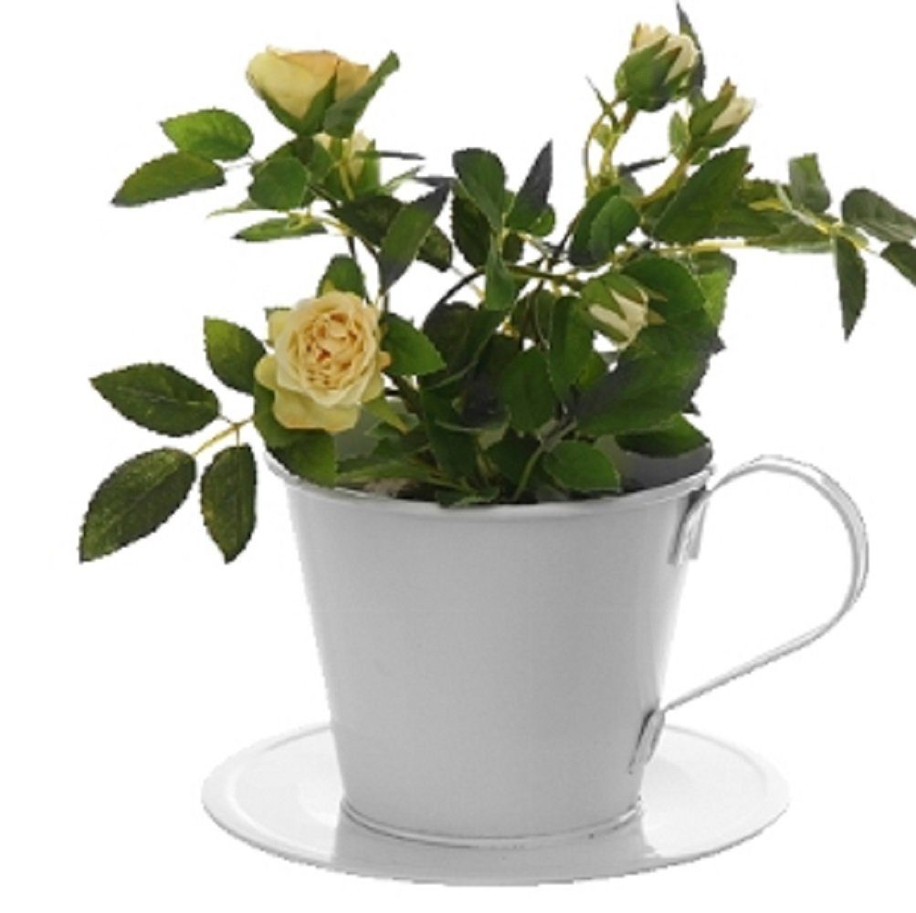 Linoows Pflanzkübel Pflanztopf wie Blumentopf Melitta Filter "Kaffeefilter"