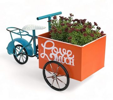 DanDiBo Pflanzentreppe Blumenfahrrad für Garten Metall Stehend Fahrrad Blau Orange