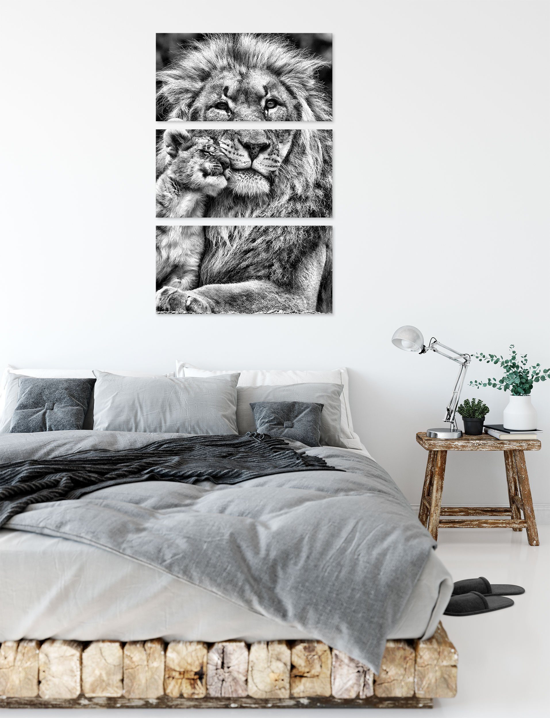 Pixxprint Leinwandbild schöner mit Löwe St), inkl. (1 Jungtier Zackenaufhänger 3Teiler bespannt, (120x80cm) Leinwandbild Löwe Jungtier, fertig mit schöner