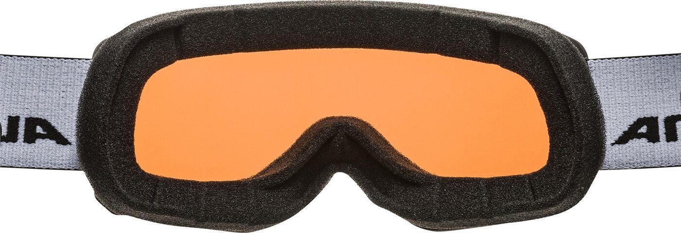 Alpina Sports Skibrille SCARABEO S QH