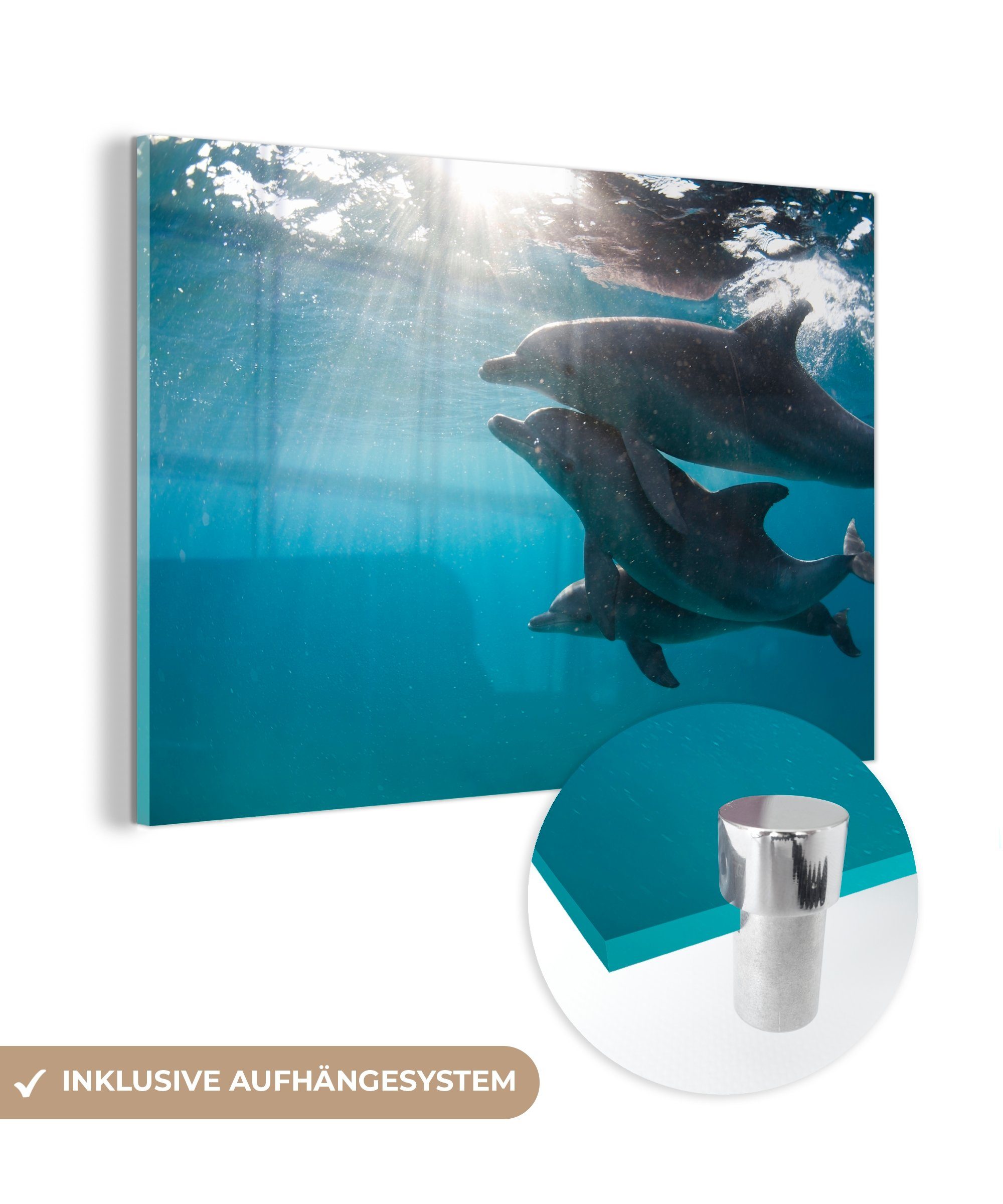 MuchoWow Acrylglasbild Drei Delphine unter der Wasseroberfläche, (1 St), Acrylglasbilder Wohnzimmer & Schlafzimmer