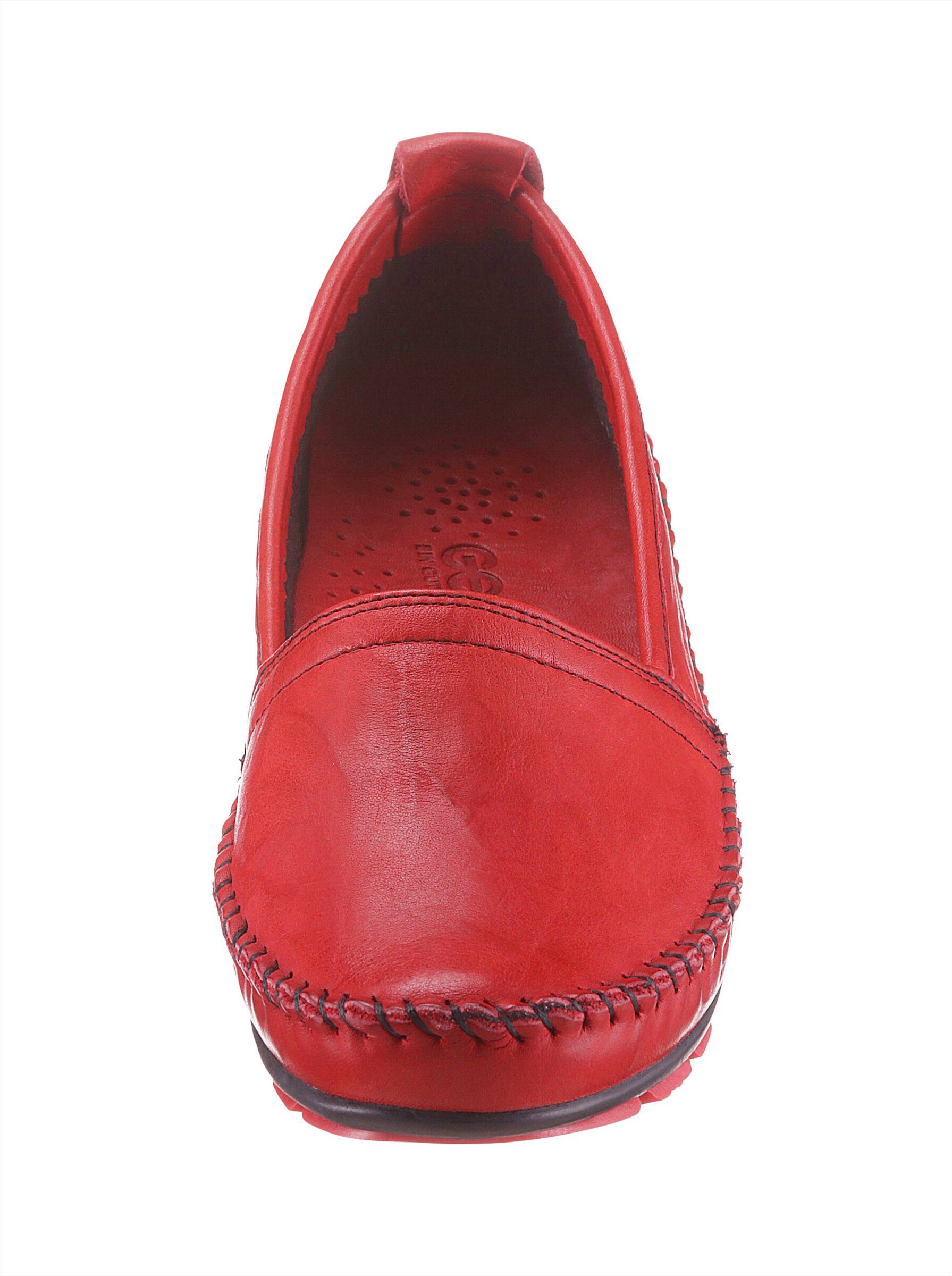 Slipper Gemini rot