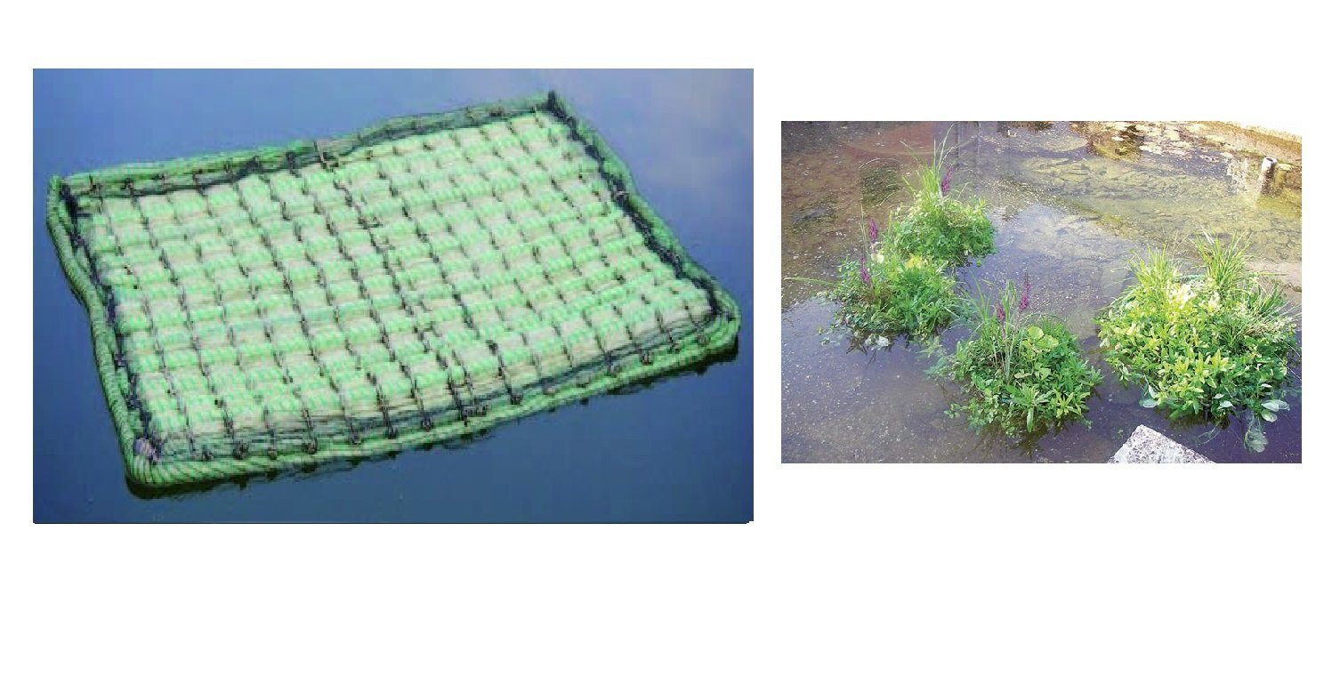 Aquaforte Pflanzkelle Aquaforte schwimmende Pflanzinsel rechteckig 121 x 85cm (1m) Teiche