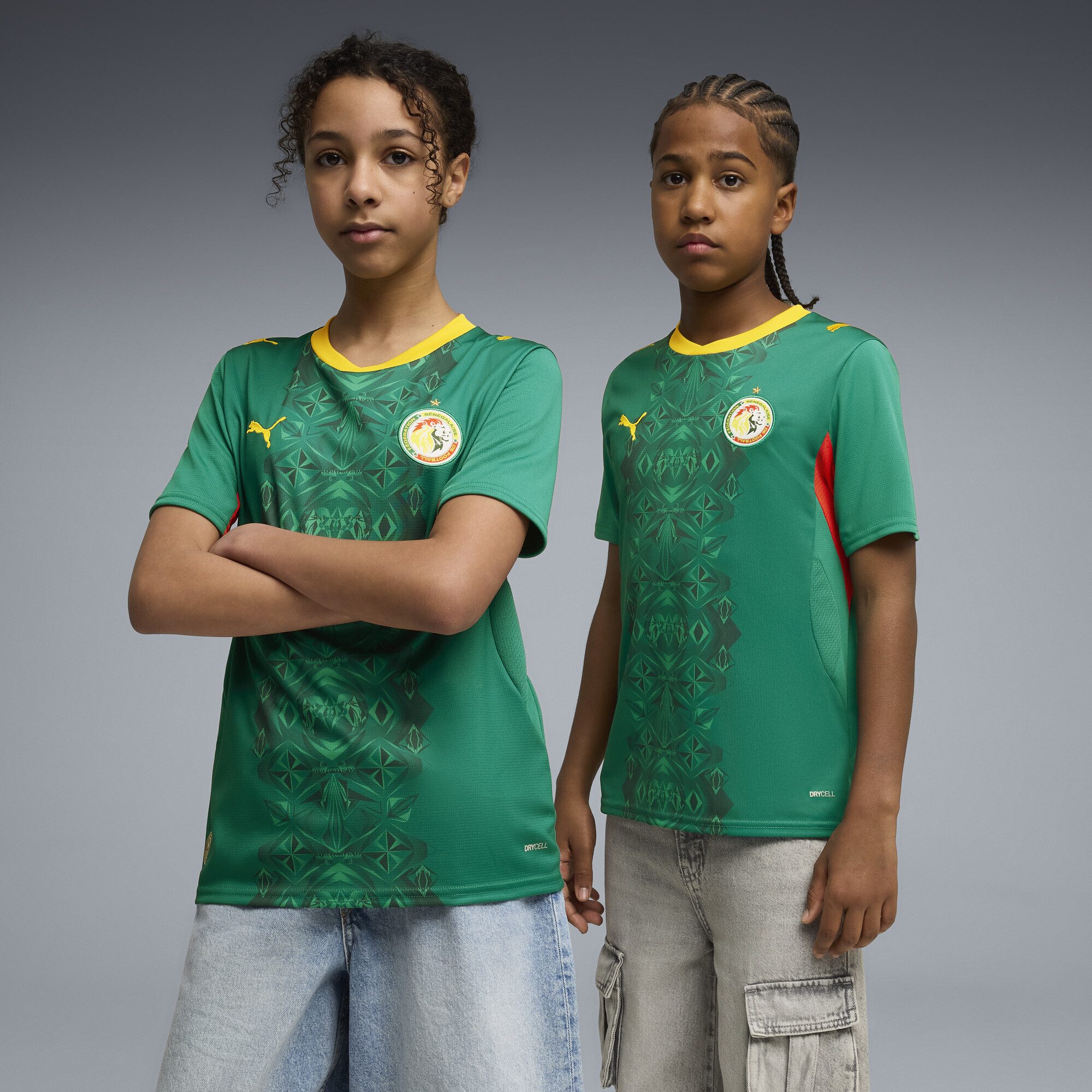 PUMA Trainingsshirt Senegal 2026 Auswärtstrikot Jugendliche
