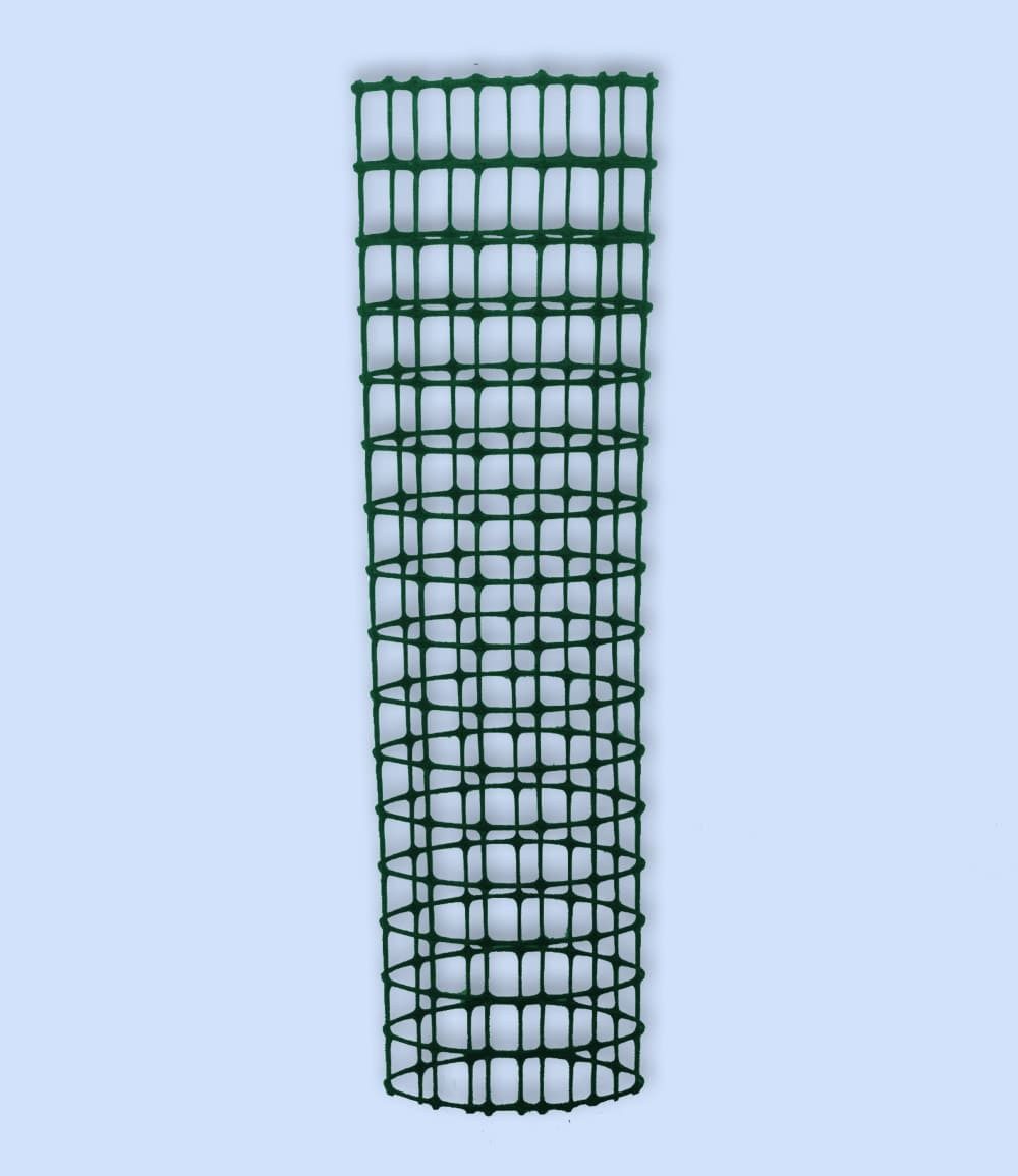 BALDUR Garten Obstpflanze Kletter-Erdbeere 'Hummi®' und Dekorativer Rankturm, 1 St., Ertragreich,winterhart, mehrjährig, pflegeleicht – Bild 5 von 5