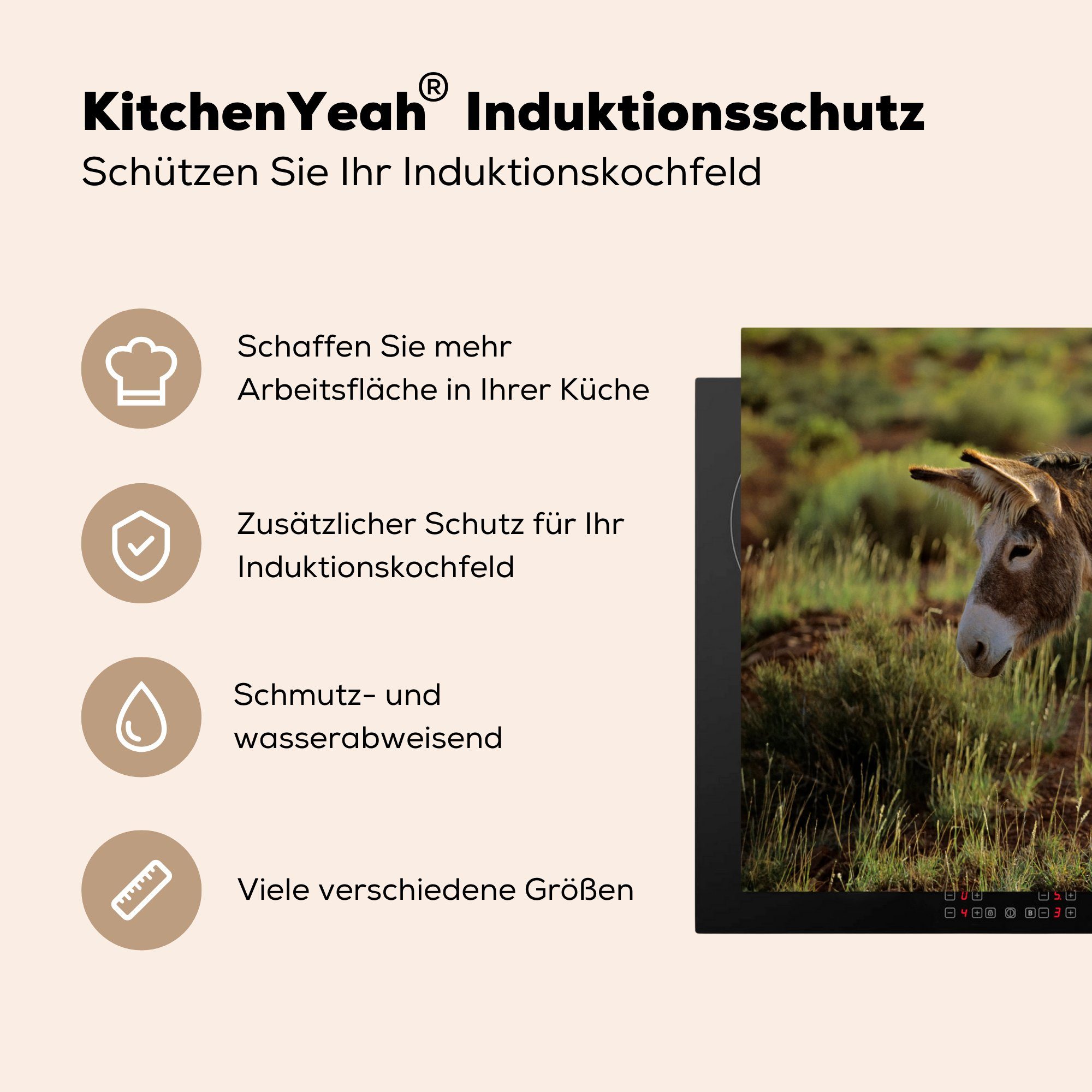 Fohlen, cm, die mit Esel 81x52 küche, Herdblende-/Abdeckplatte Ceranfeldabdeckung (1 Schutz Induktionskochfeld MuchoWow Vinyl, für tlg),