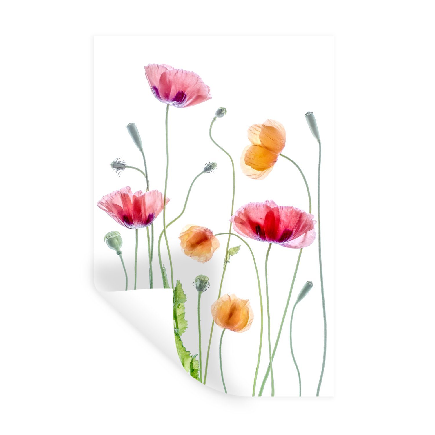 MuchoWow Wandsticker Mohn - Blumen - Frühling - Weiß (1 St), Wandaufkleber, Wandtattoo, Selbstklebend, Wohnzimmer, Schlafzimmer